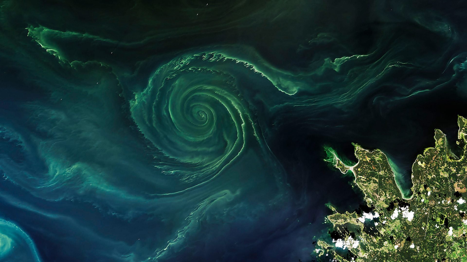 Earth from Space.jpeg