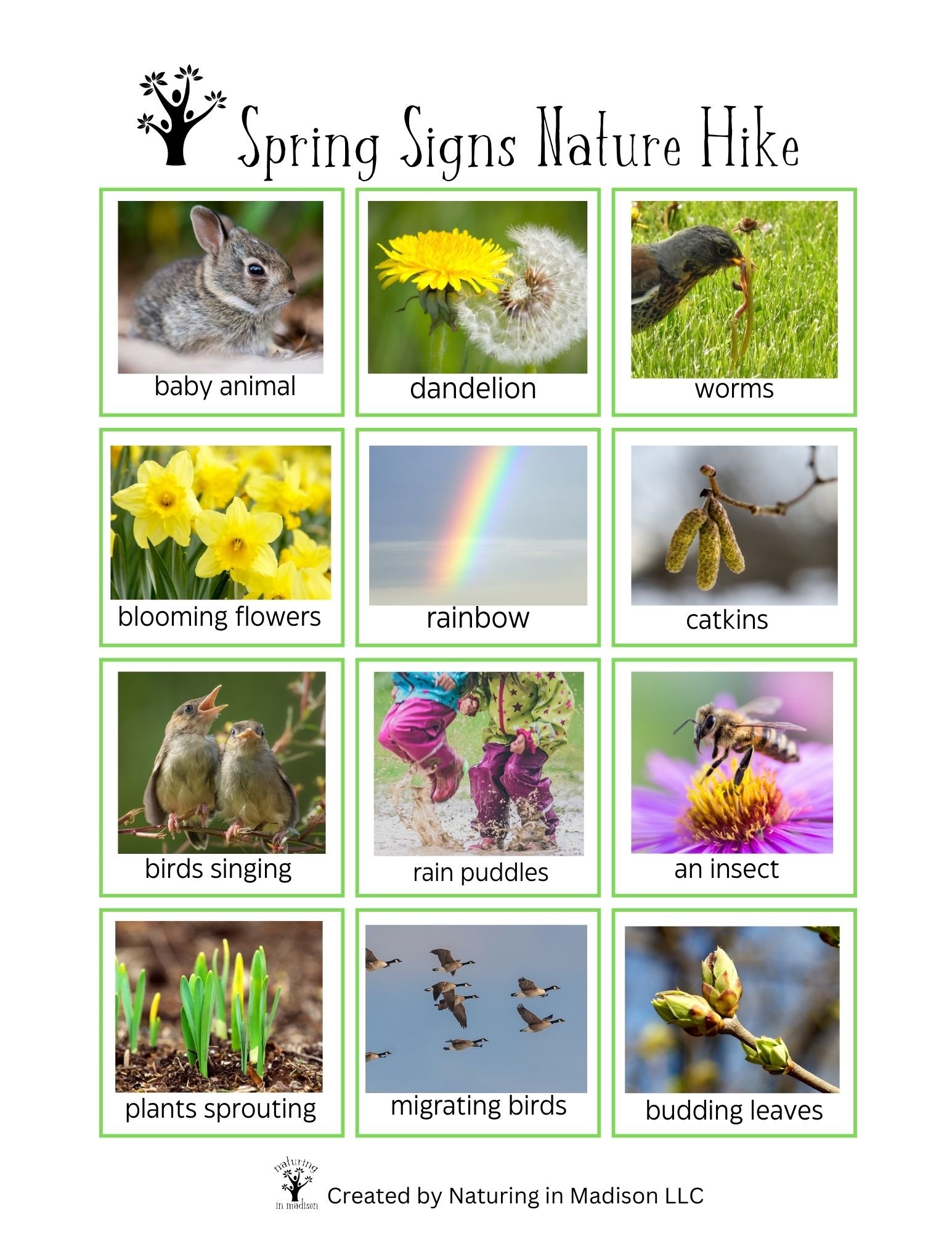Spring has sprung! How many spring signs can you find?
Download your nature hike sheet here: https://naturinginmadison.com/naturing-blog-archive/2024/4/15-spring-nature-hike 

#springinwisconsin #outdoorfamilies #natureplay #childledplay #naturingtog