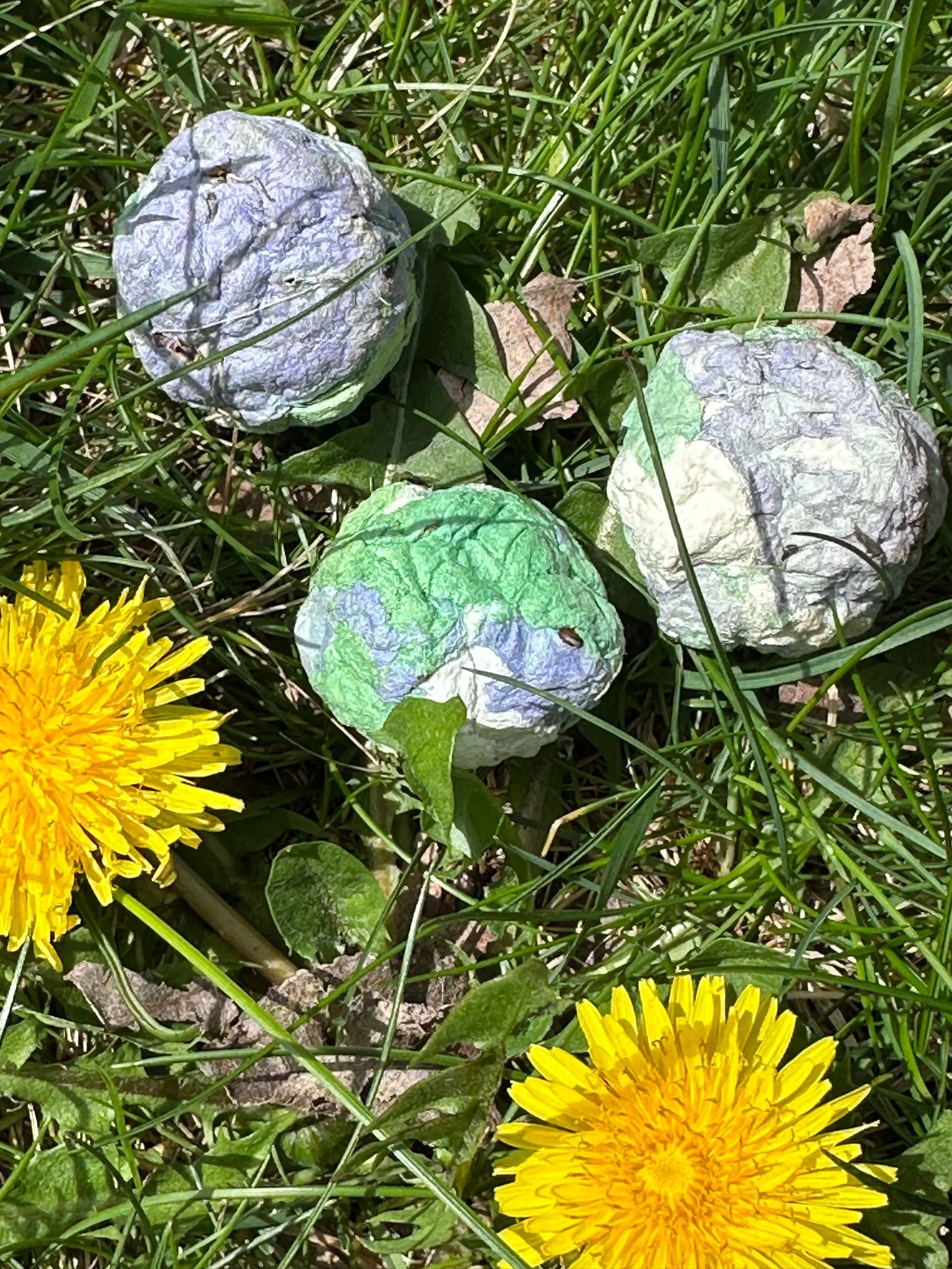 Earth Day Seed Bombs