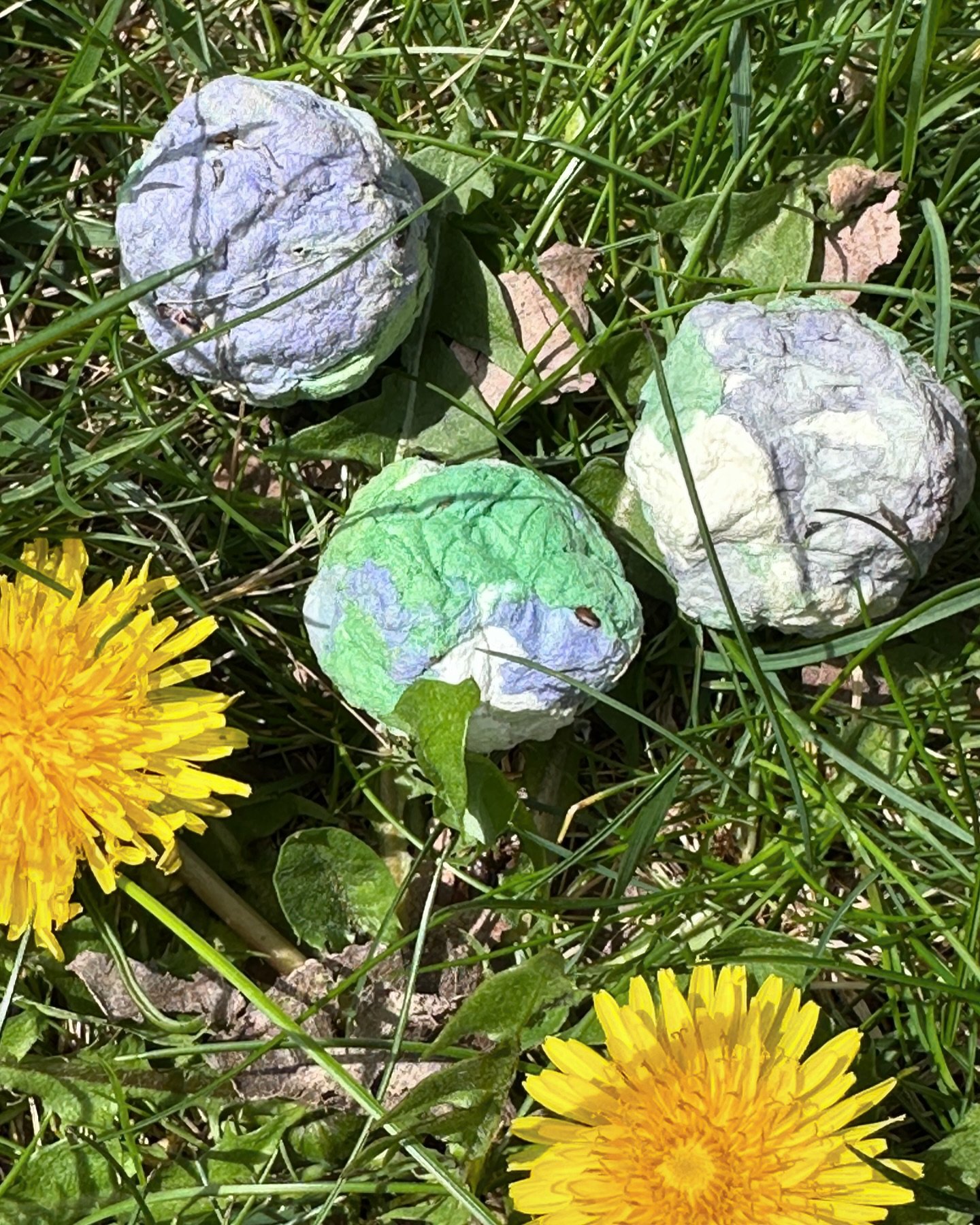 🌎Happy Earth Day! Make these festive Earth Day seed bombs to celebrate our planet and share the love with friends and family. Learn how on our blog: https://naturinginmadison.com/naturing-blog-archive/seed-bombs

🌎Don't forget about our Spring Sign