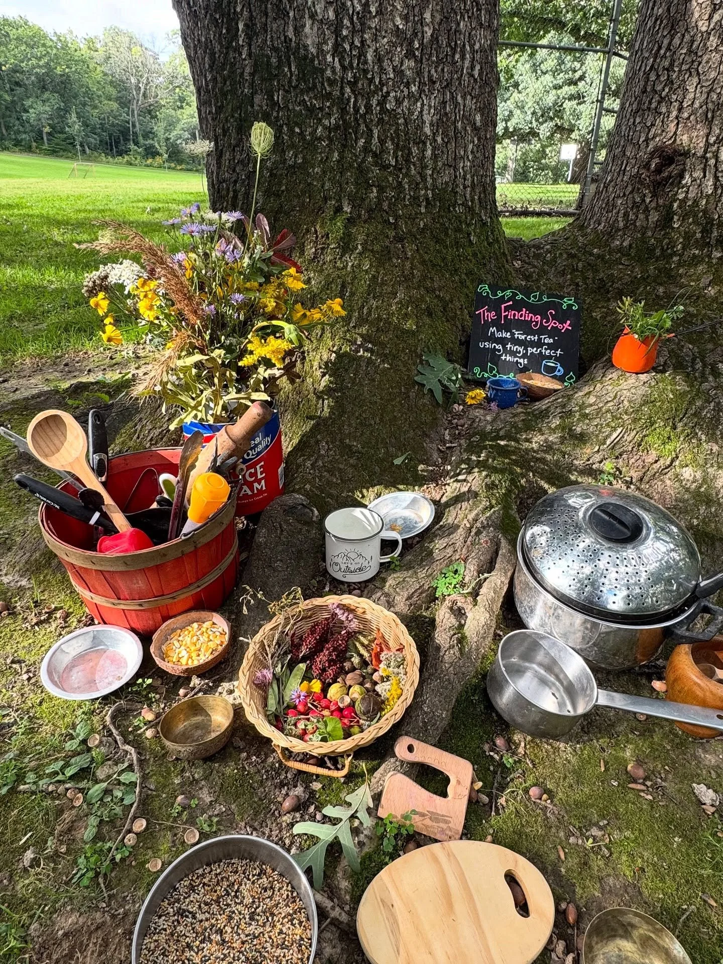 Lovely Nature Leader Katie ran our free Trial class yesterday. This sample class celebrated the &ldquo;tiny perfect things&rdquo; in nature and introduced families to our class structure and flow. Guided by the book, Tiny, Perfect Things, by M.H. Cla