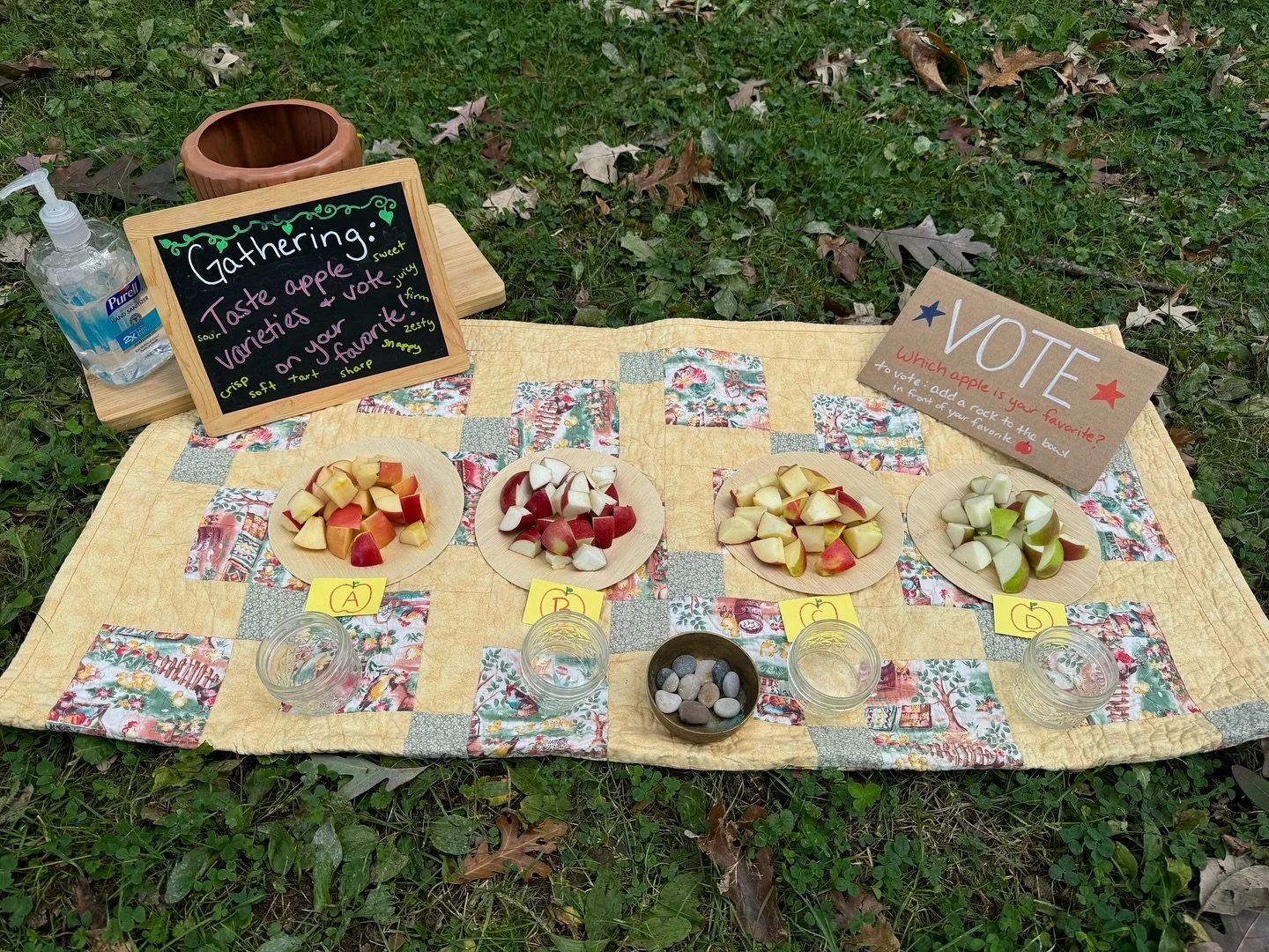 🍂Our classes encourage child-led play and value the process of wonder and experimentation over a final product. Each nature play session follows a predictable rhythm, while introducing a new theme of the week. 

🍁Every class begins with a Gathering
