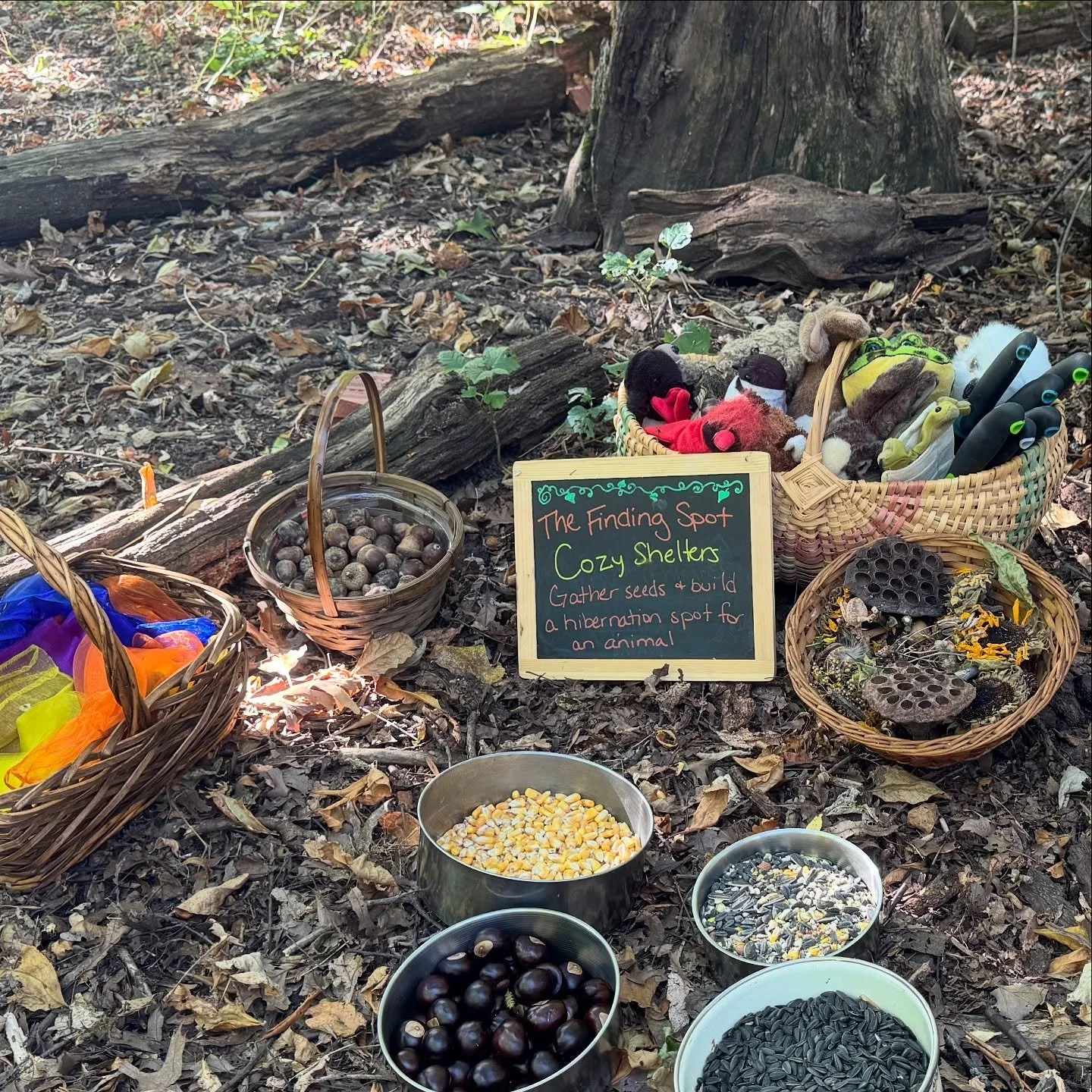 Class Structure part 2 and of 3: 
FINDING SPOT and NATURE TABLE 

🍂Our classes encourage child-led play and value the process of wonder and experimentation over a final product. Each nature play session follows a predictable rhythm, while introducin