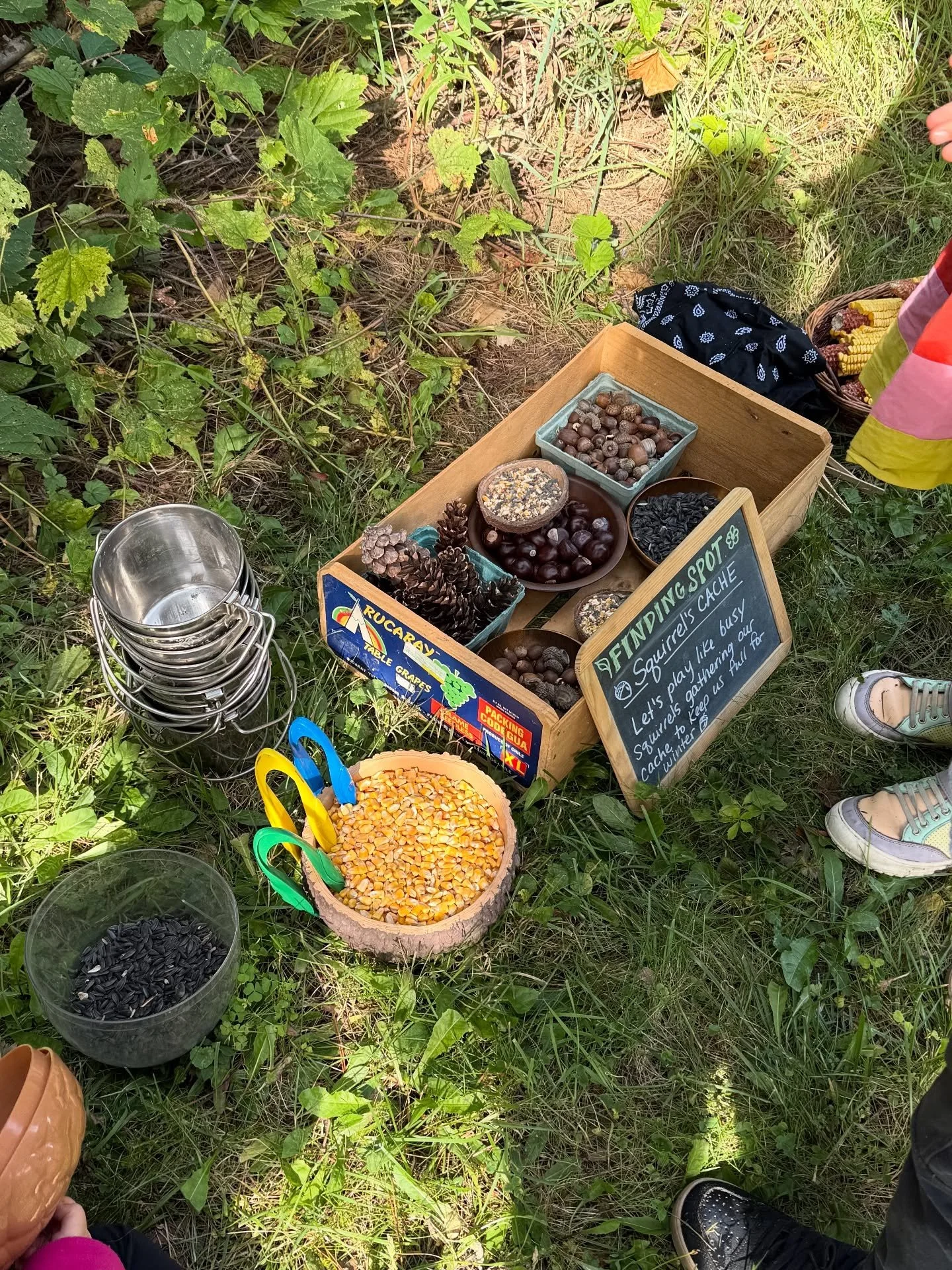 🐿️🌰A great kick-off to our Fall Together in the Park season: AUTUMN HARVEST. We played like busy squirrels gathering our food cache for winter and building &ldquo;small world&rdquo; cozy homes for the animals with clay and nature treasures. 

#natu