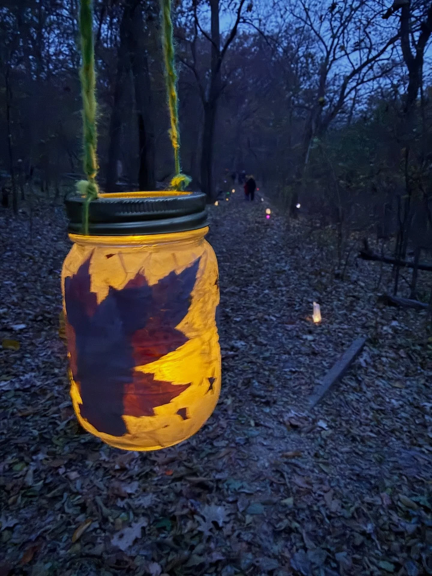 ✨🏮✨Thank you to everyone who braved the cold and joined us for our annual lantern walk!✨🏮✨ Sweet and simple, this event always warms my heart☺️

#lanternwalk #beavermoon #moonwalk #autumnmagic #community #cupfull #natureheals #vitaminn #madisonwiso
