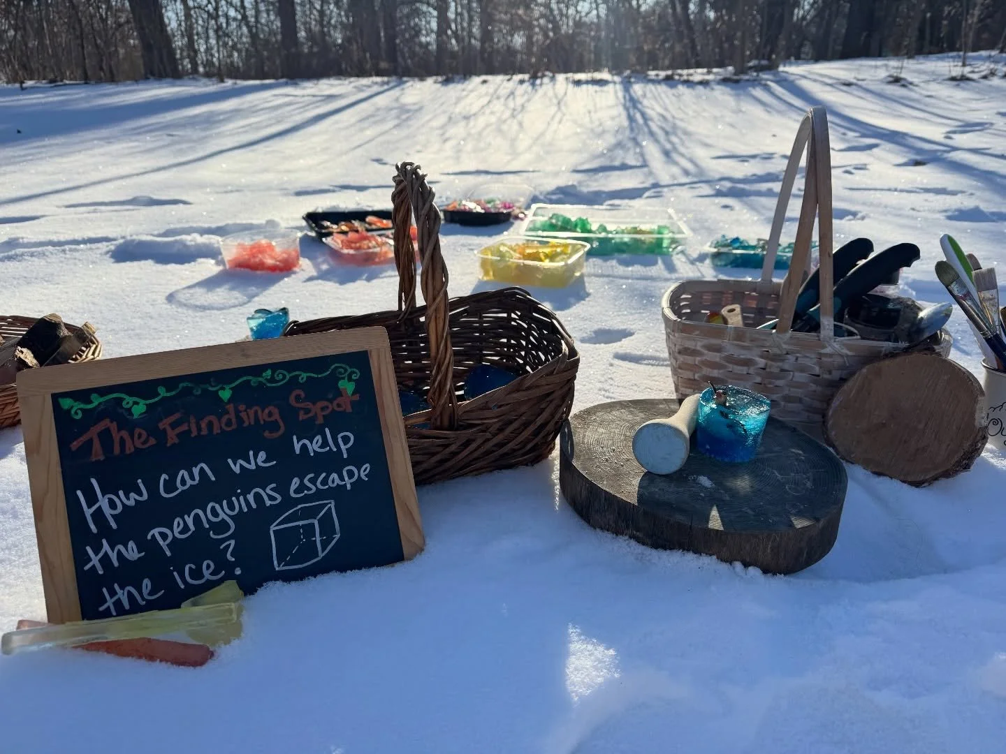 Finally some safer temps to kick off our winter together in the park classes! A magical wintery day! ❄️🐧 

#natureplay #childledlearning #wintermagic #madisonwi #earlychildhoodeducation