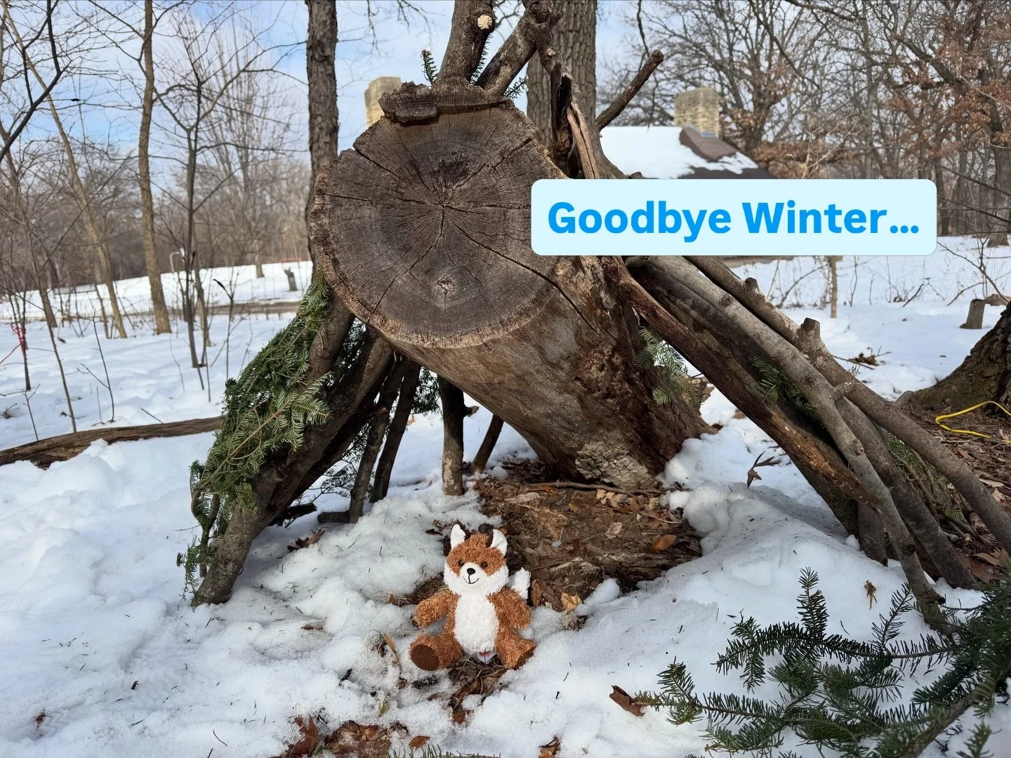 GOODBYE WINTER&hellip;..much fun was had Together in the Park this winter celebrating our animal friends. Always such a magical season! ❄️ Our Spring classes start in a few weeks! Learn more and register here: https://naturinginmadison.com/classes-sp