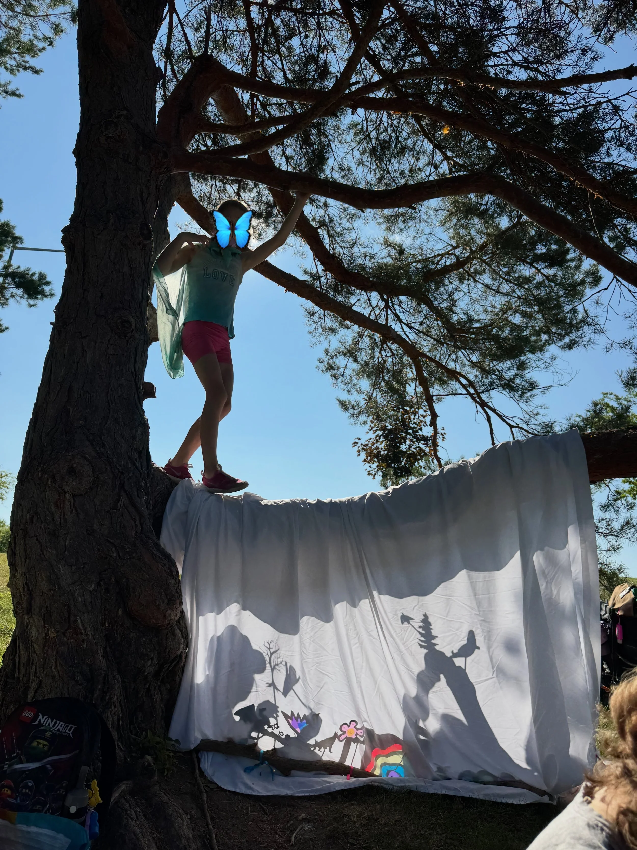 Another magical Tales on the Trail camp in the books! 😍

#summercamp #natureplay #storytelling #madisonwi #theatercamp