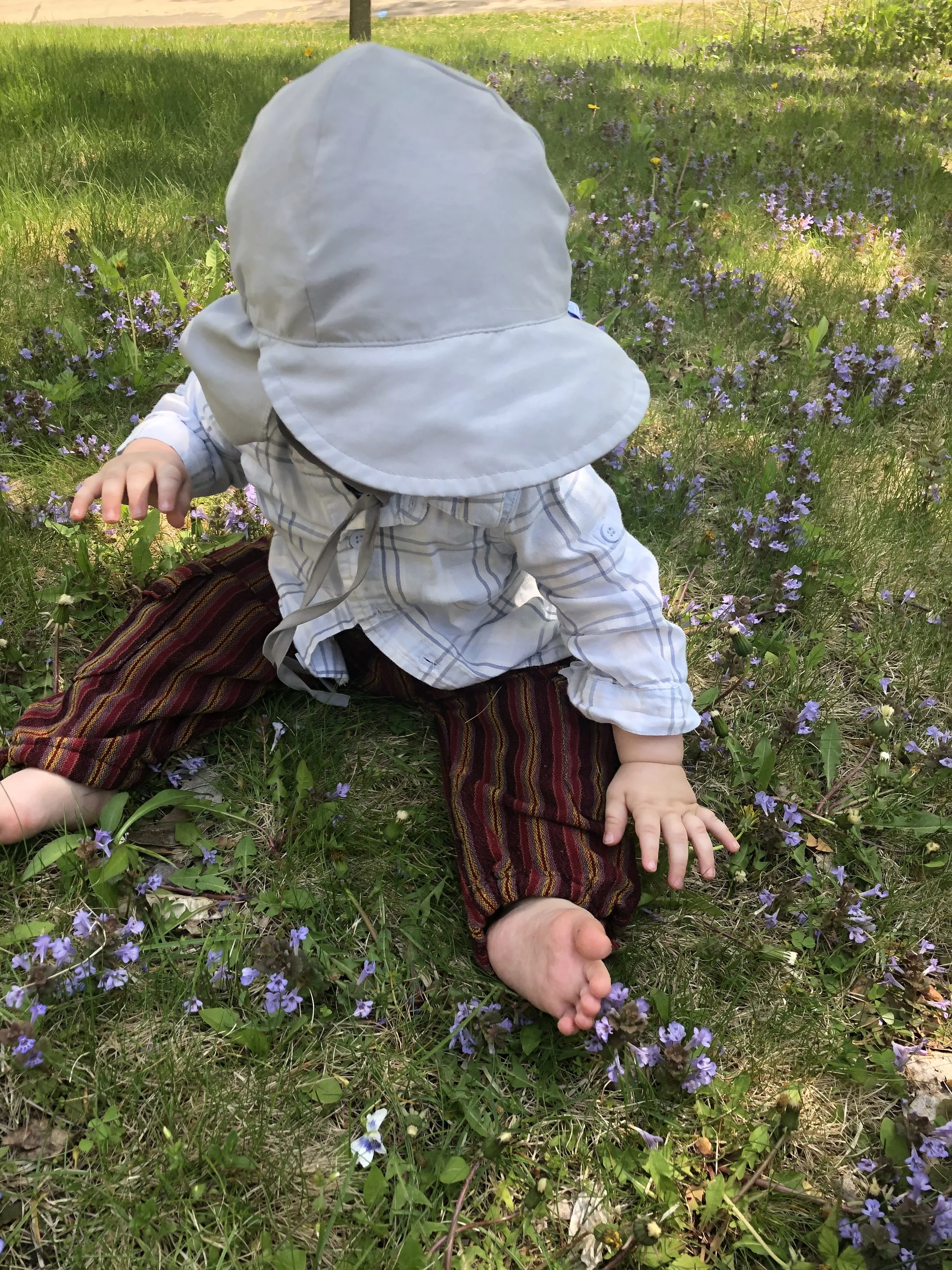 IMG_8011.jpeg