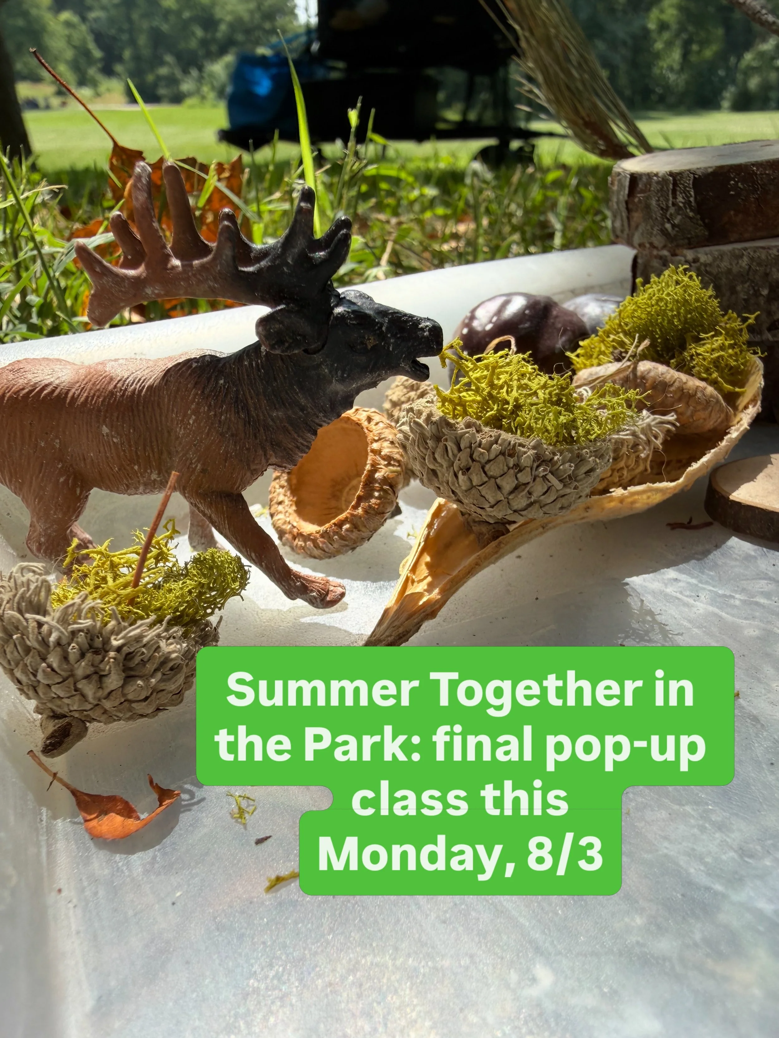Join us this Monday at San Damiano Park for our final Together in the Park of the summer! We will be celebrating our animal friends with a nature play feast!

Register at https://naturinginmadison.com/summer-together-in-the-park

#natureplay #mudkitc