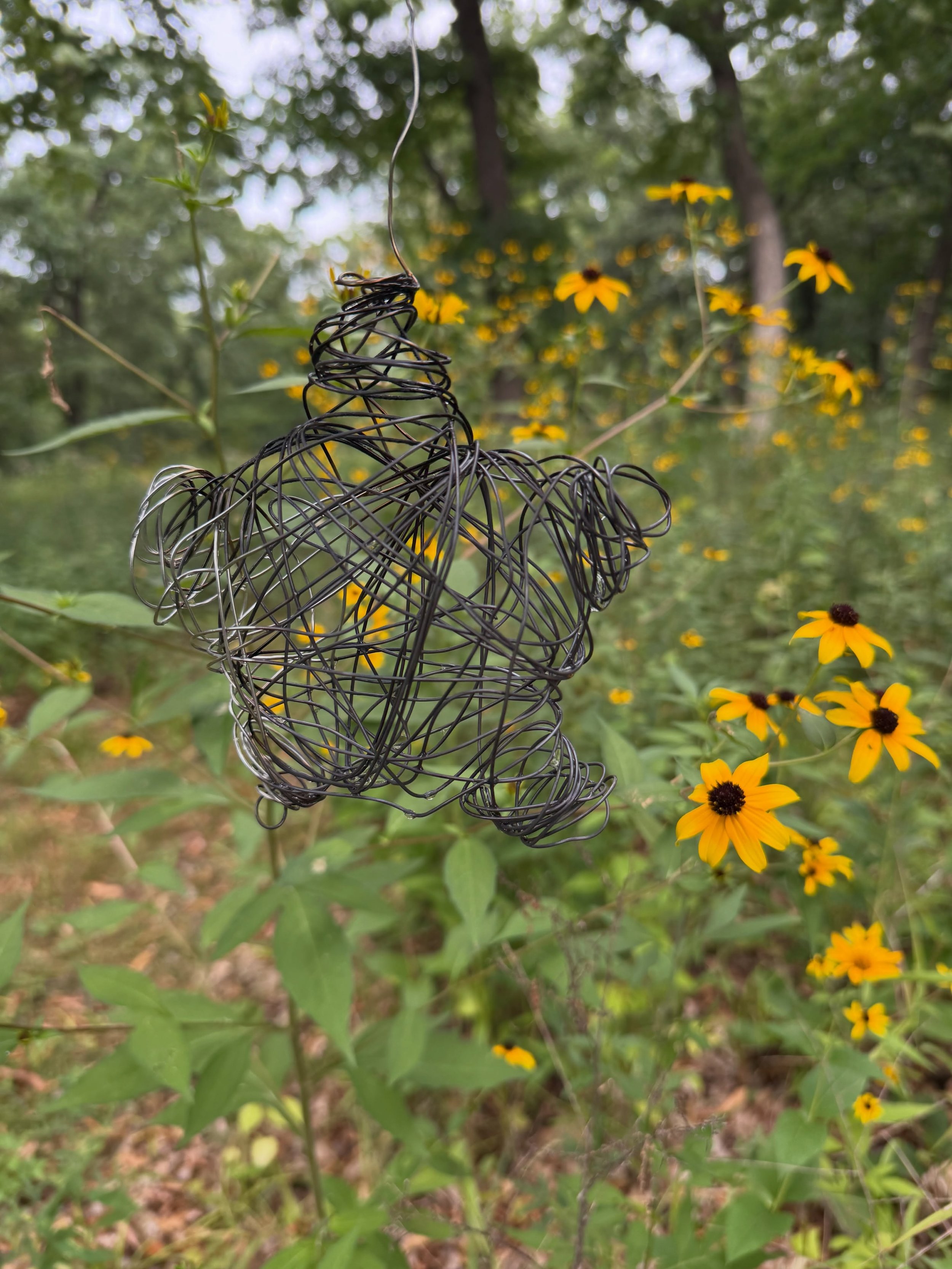 🌟So much fun making these wire stars at Wilder Art camp today! Wrap steel wire around cardboard star, burn out cardboard in fire, cool with water and voila, a fun decorative wire star!🌟 

#wildart #summercamp #natureart #firestar #madisonwi