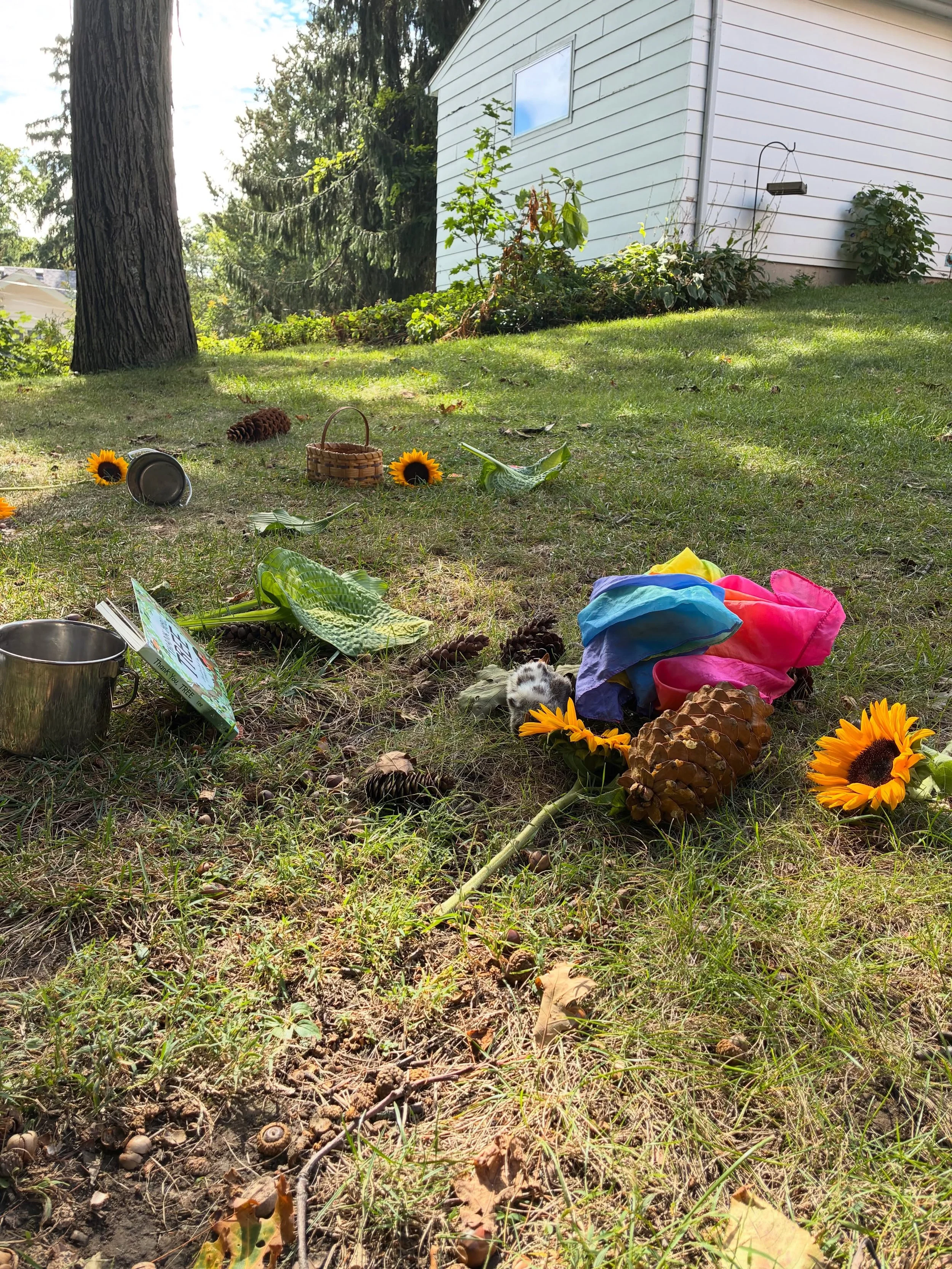 🐣Such a lovely morning together with other families at our pilot trial of our new Nature Baby &amp; Me program! This &ldquo;aftermath&rdquo; image offers us such a sweet glimpse of the magic these babies had connecting to nature and engaging their s