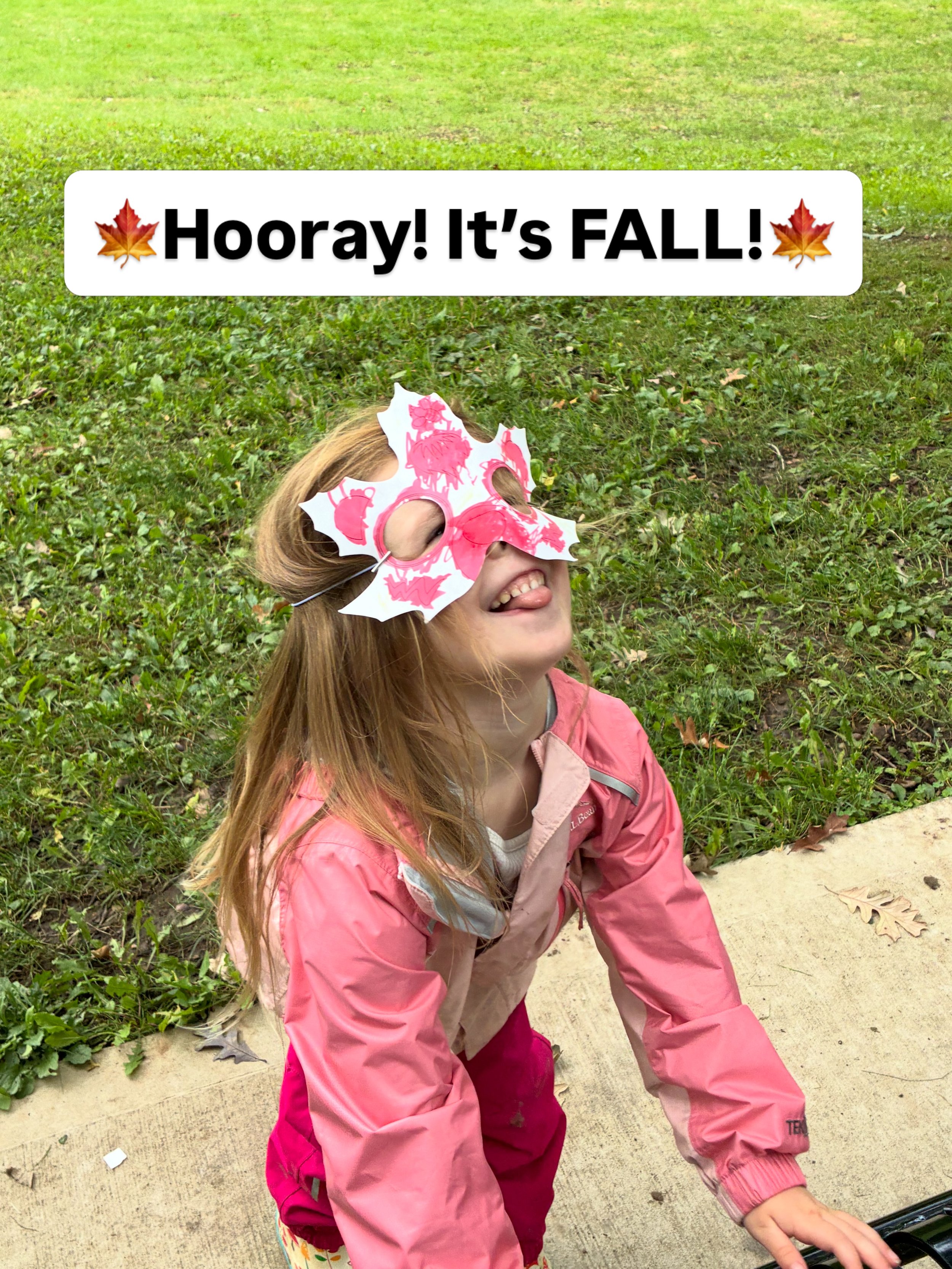 On this first day of FALL, we played like busy fall animals preparing for the cold days ahead. 

FALL is my favorite time of year for Together in the Park classes. The colorful falling leaves, nuts and seeds, apples, pumpkins, corn, busy animals&mdas