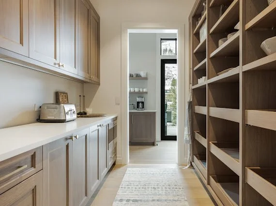 lupine something.JPG