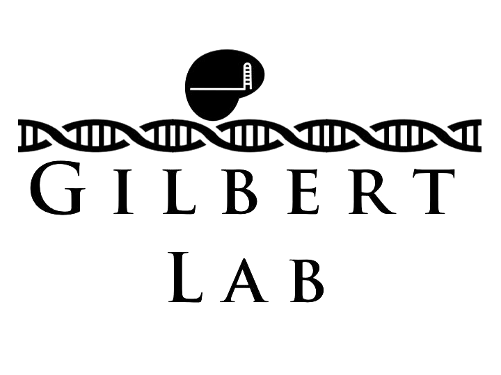 logo_transparent.png