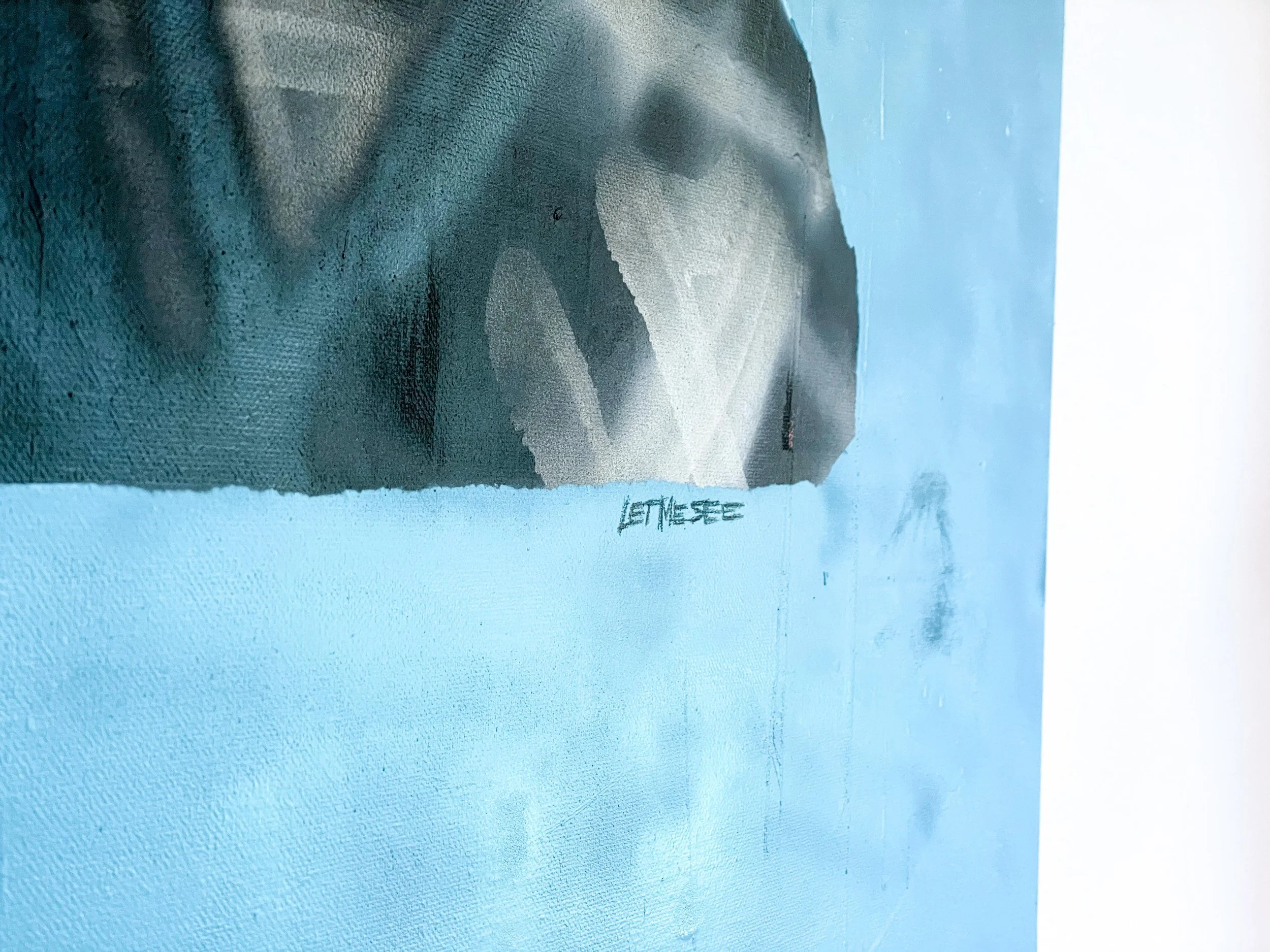LetMeSee-2.jpg