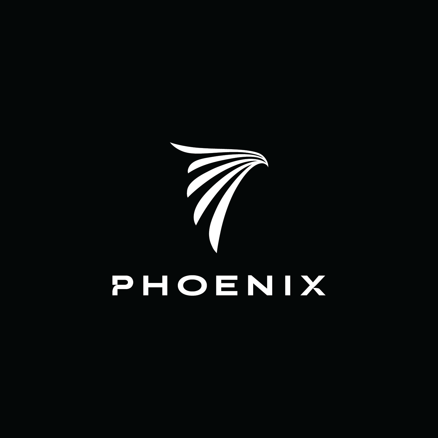 Logos_concepts-03.png