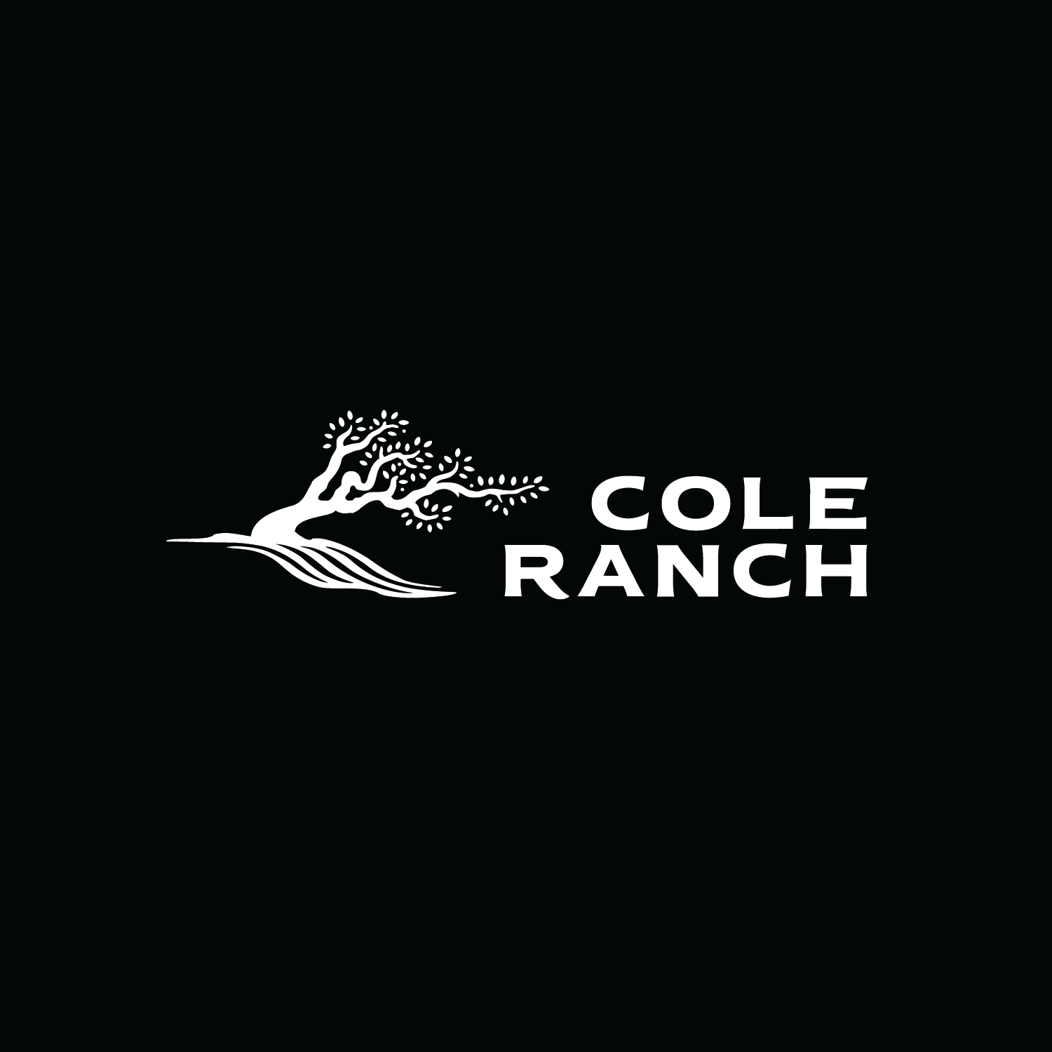 Logos_concepts-04.png