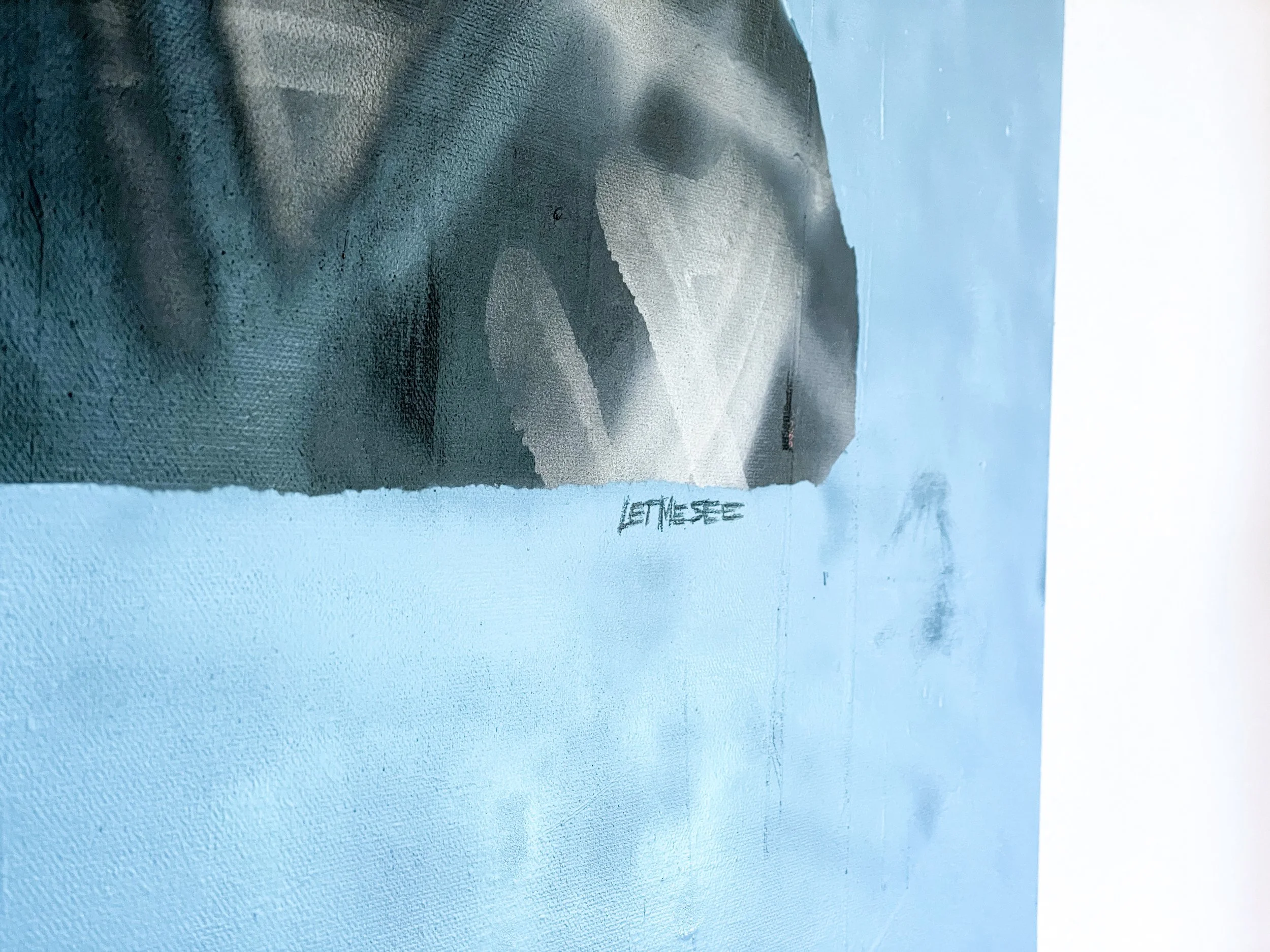LetMeSee-2.jpg
