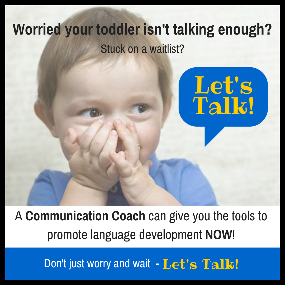 Worried your toddler isn't talking enough?-3.png