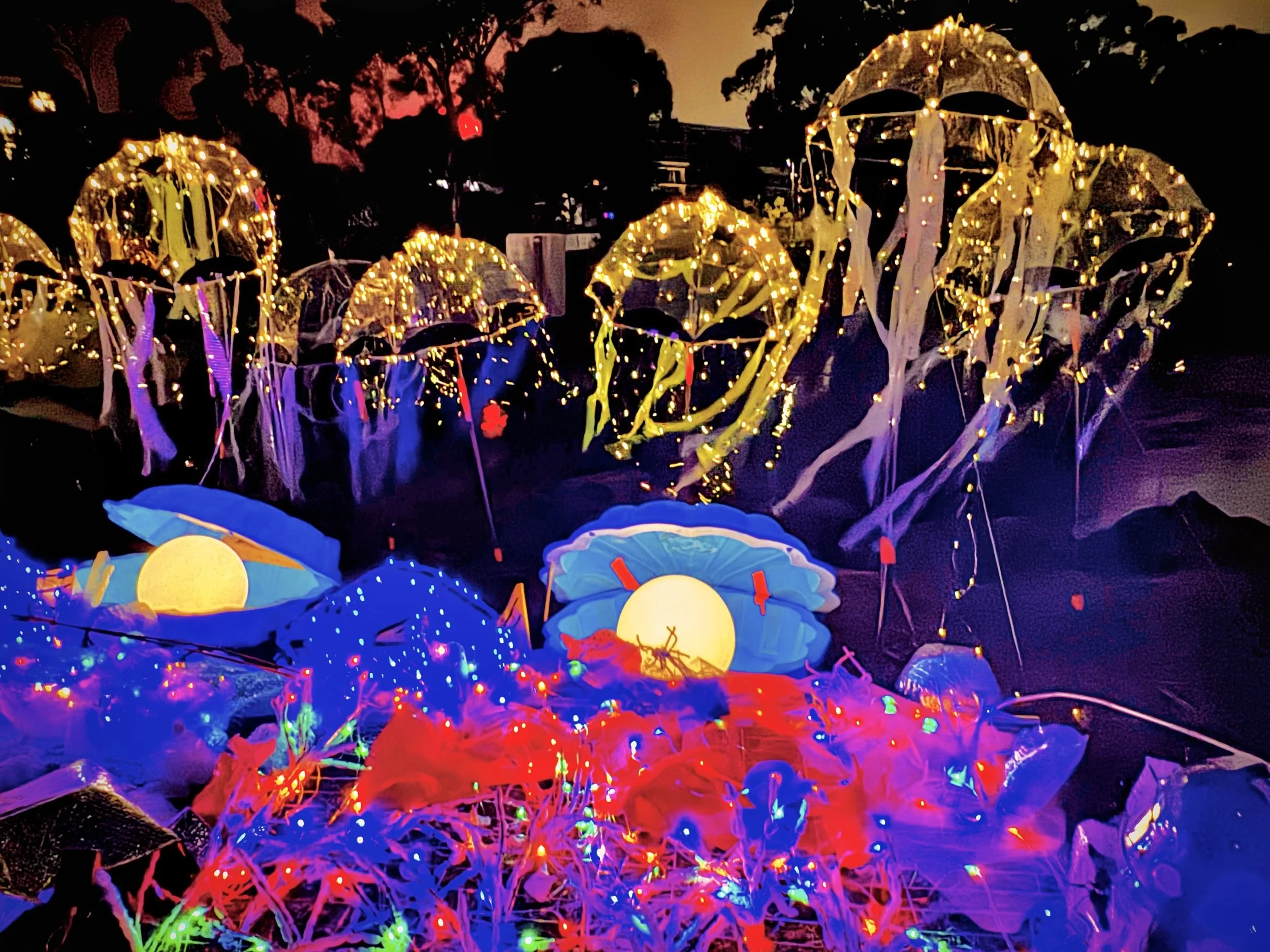 Floating Sunset Jellyfish Congregation.jpeg