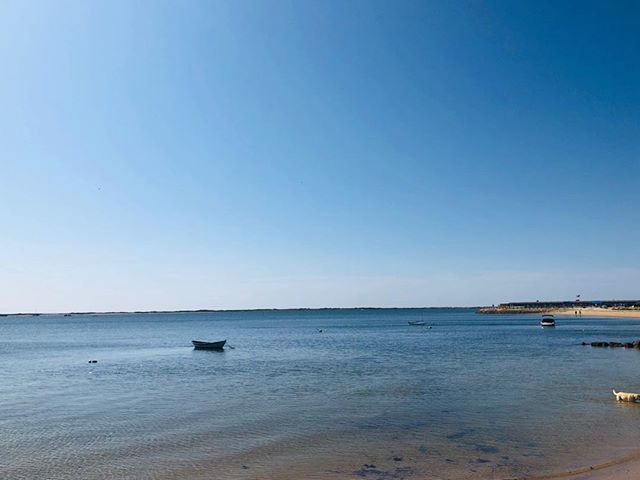 Picture-Perfect Provincetown
.
.
.
#ColorInspiration 
#Roomwithaview
#Mothernature
#Provicetown
#Mastheadresort
#inspiredbynature