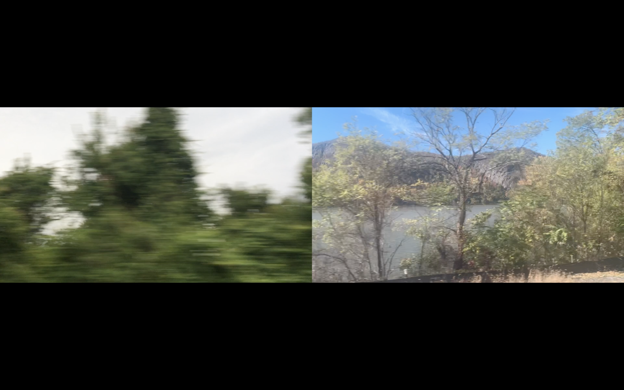 Screen Shot 2021-04-07 at 12.54.49 AM.png