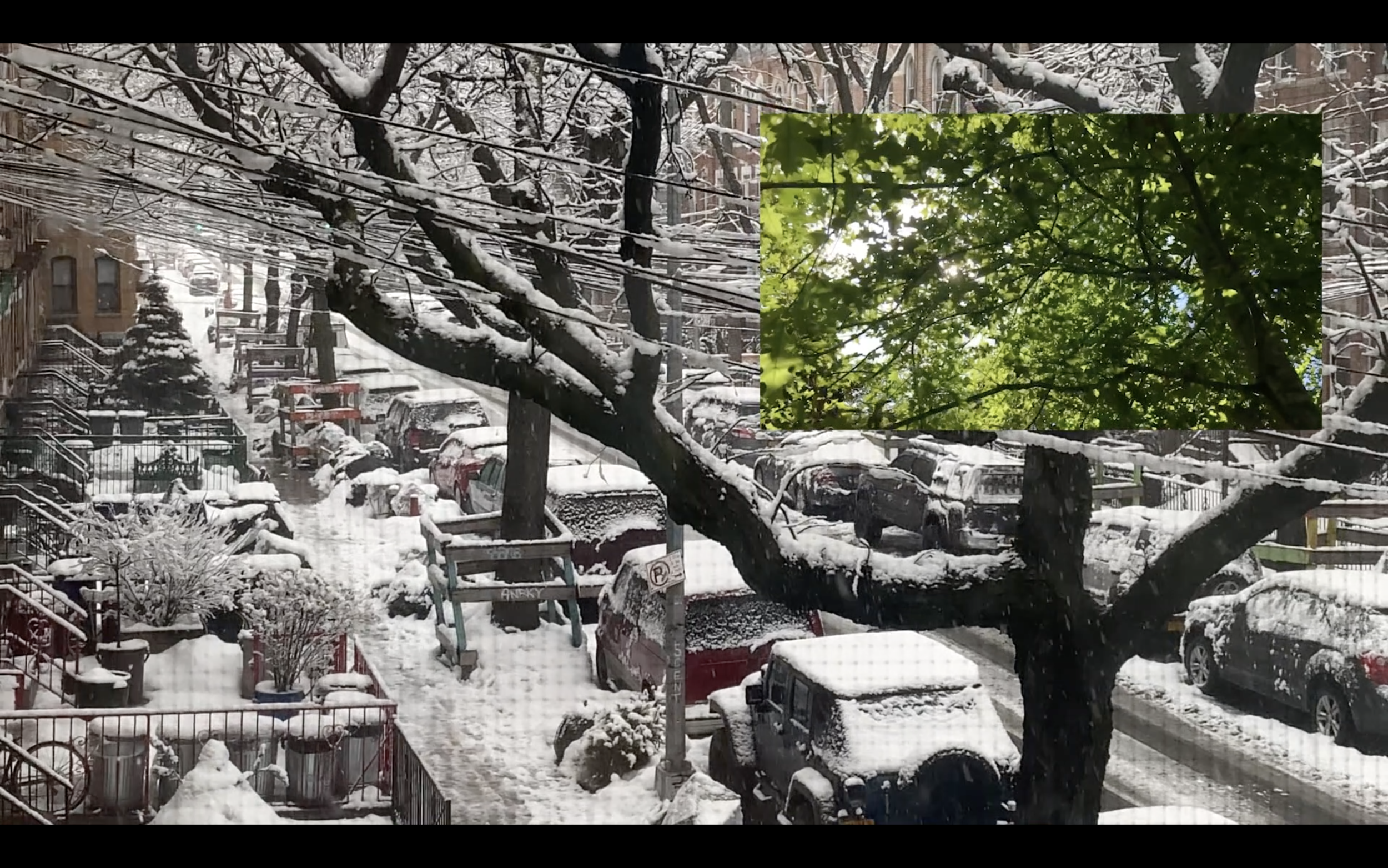 Screen Shot 2021-04-07 at 12.56.01 AM.png