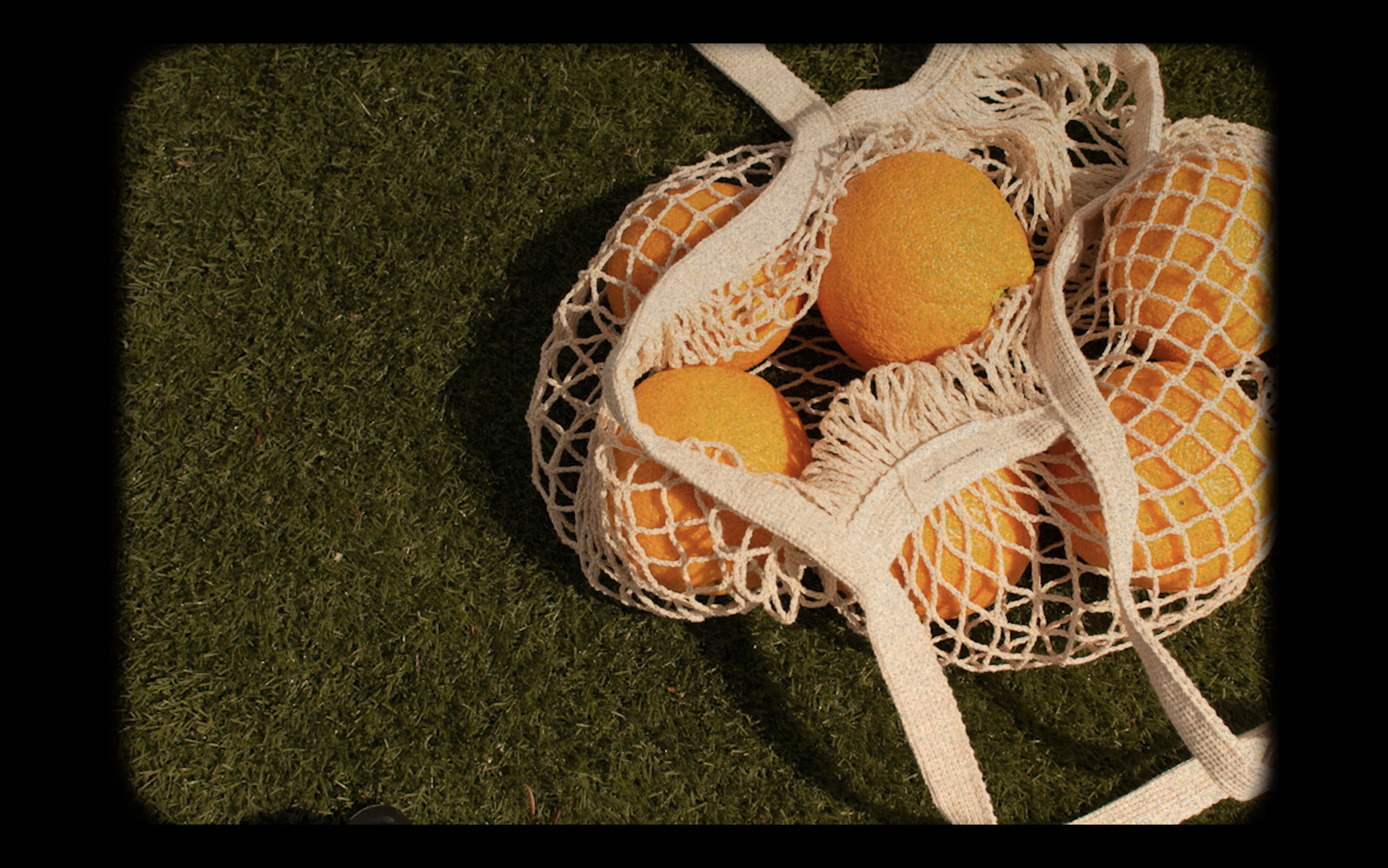 Screen Shot 2021-04-07 at 1.19.23 AM.png