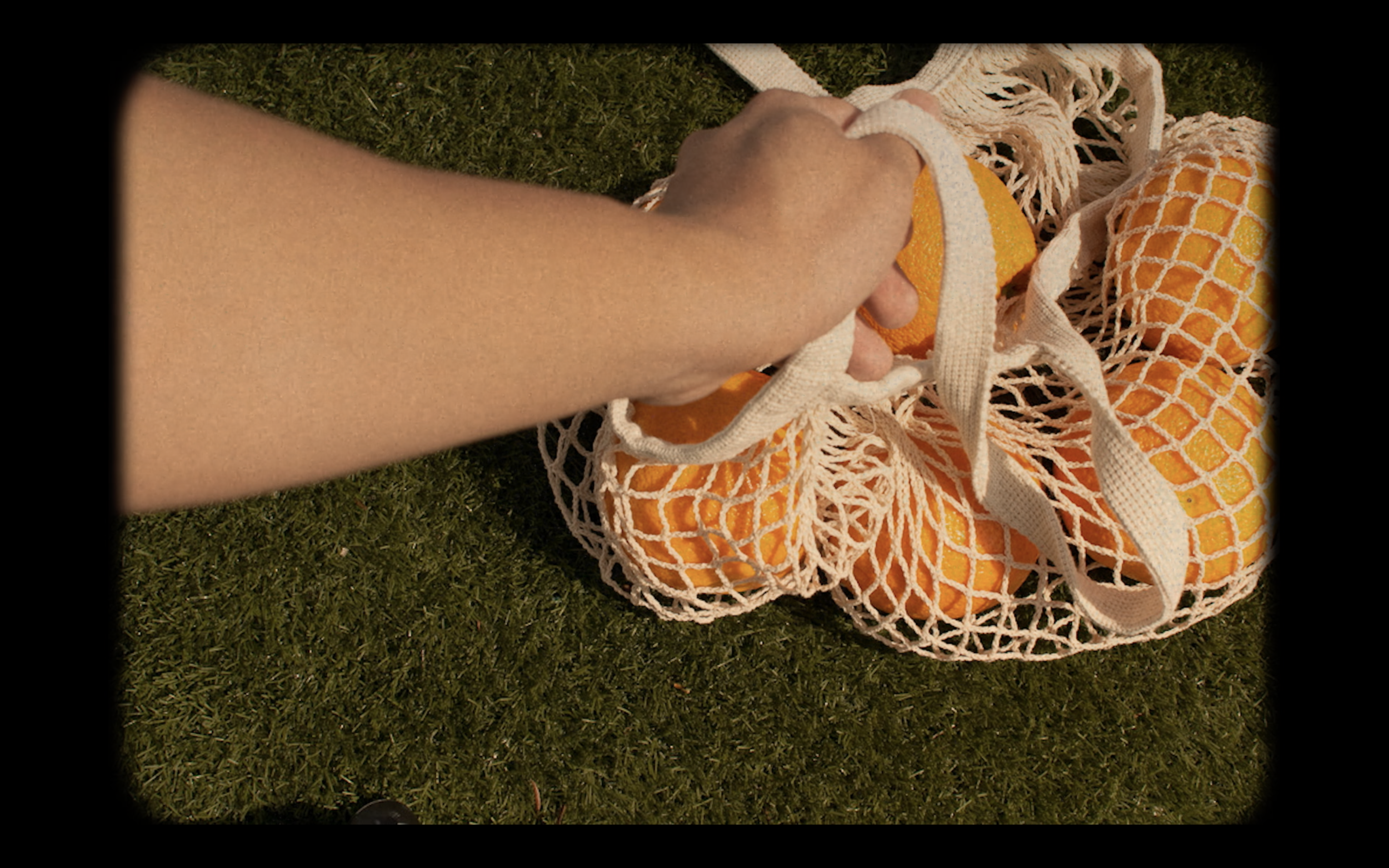 Screen Shot 2021-04-07 at 1.14.05 AM.png