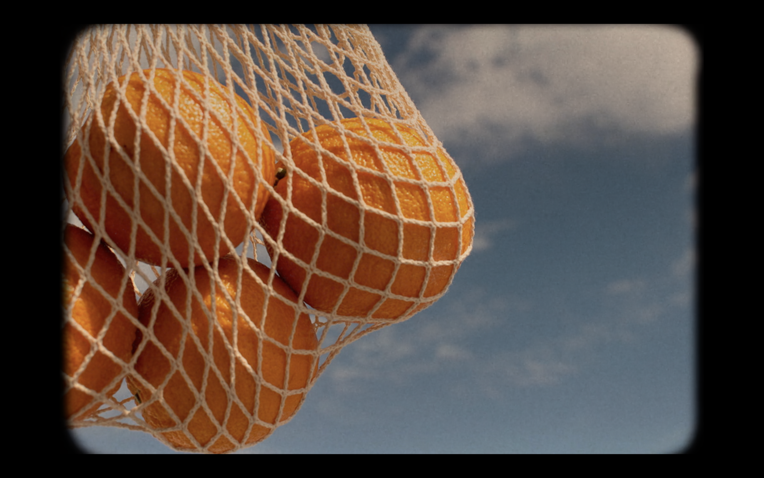 Screen Shot 2021-04-07 at 1.14.23 AM.png