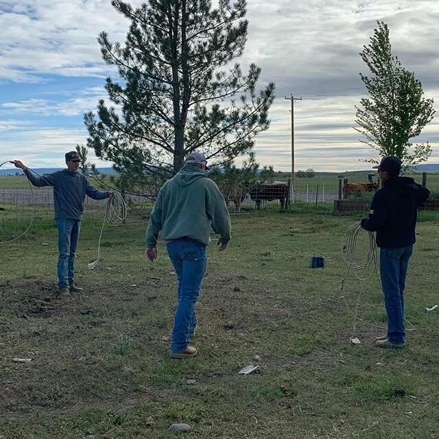 #backyardbranding 
How #hobbyranchers do it! 😉🐴🐂
.
.
.
#chuckandduck #ranchlife #ranchy #cattleranch #roping #ustrc #actra #actraroping #teamroping #cattlebranding #calfbranding #ranchwork #ranching #ranchhorse #cowhorse #goatroping #juniorrodeo #