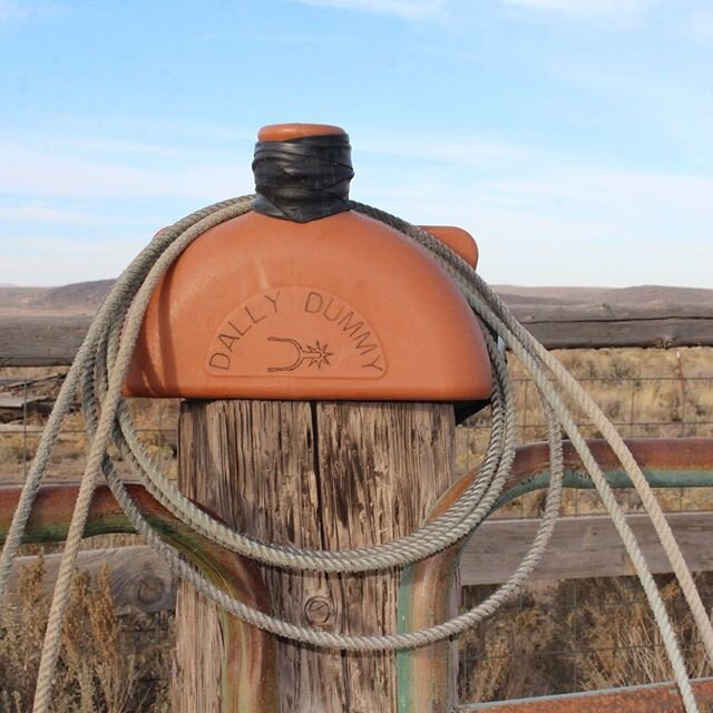 Every Dally Dummy includes a wrapped horn and an adjustable nylon belt! Ordering website in bio. .
.
.
#dummyroping #musclememoryskill #turnandburn #chuckandduck #ranchlife #ranchy #cattleranch #roping #ustrc #actra #actraroping #teamroping #cattlebr