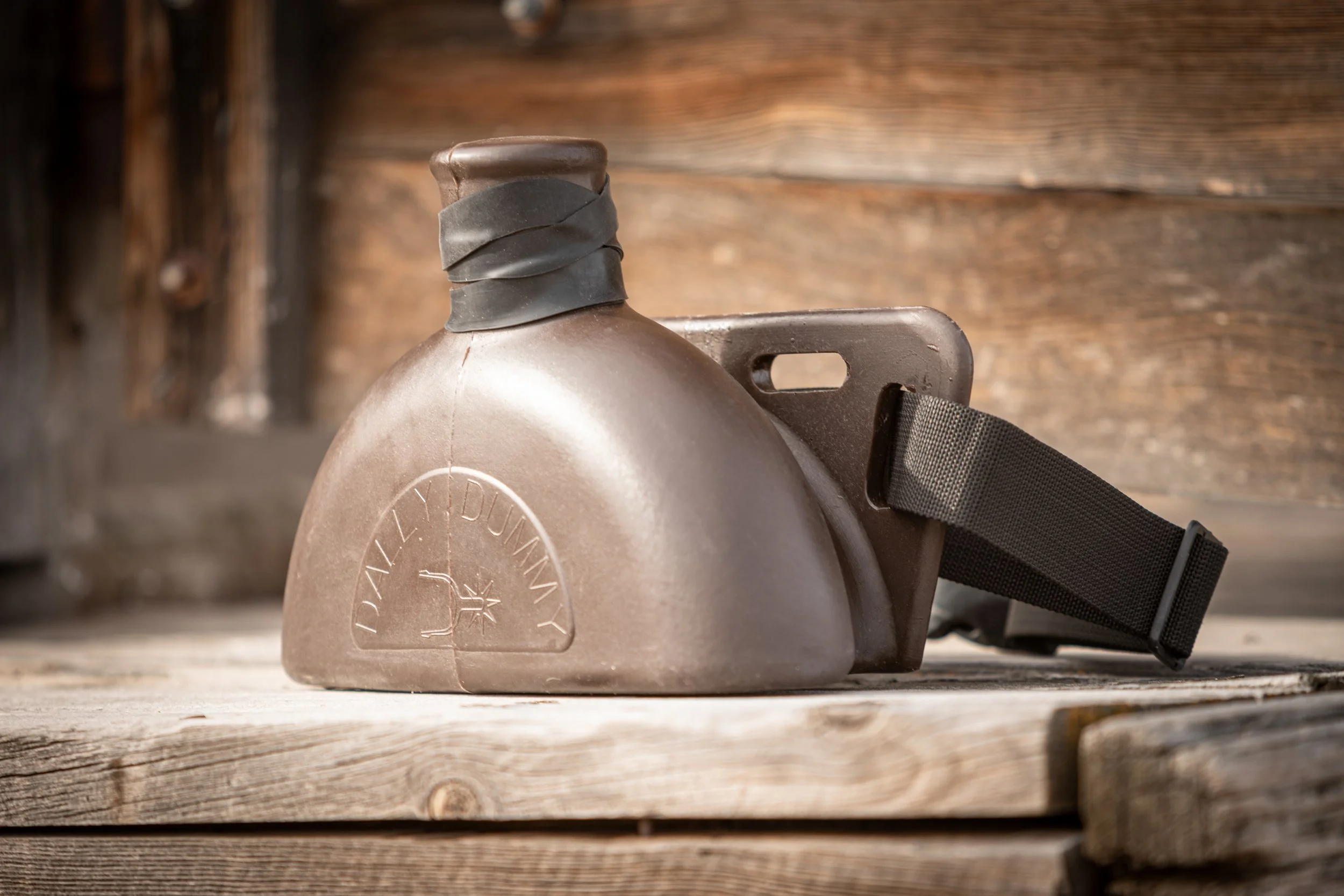 The Dally Dummy side.jpg