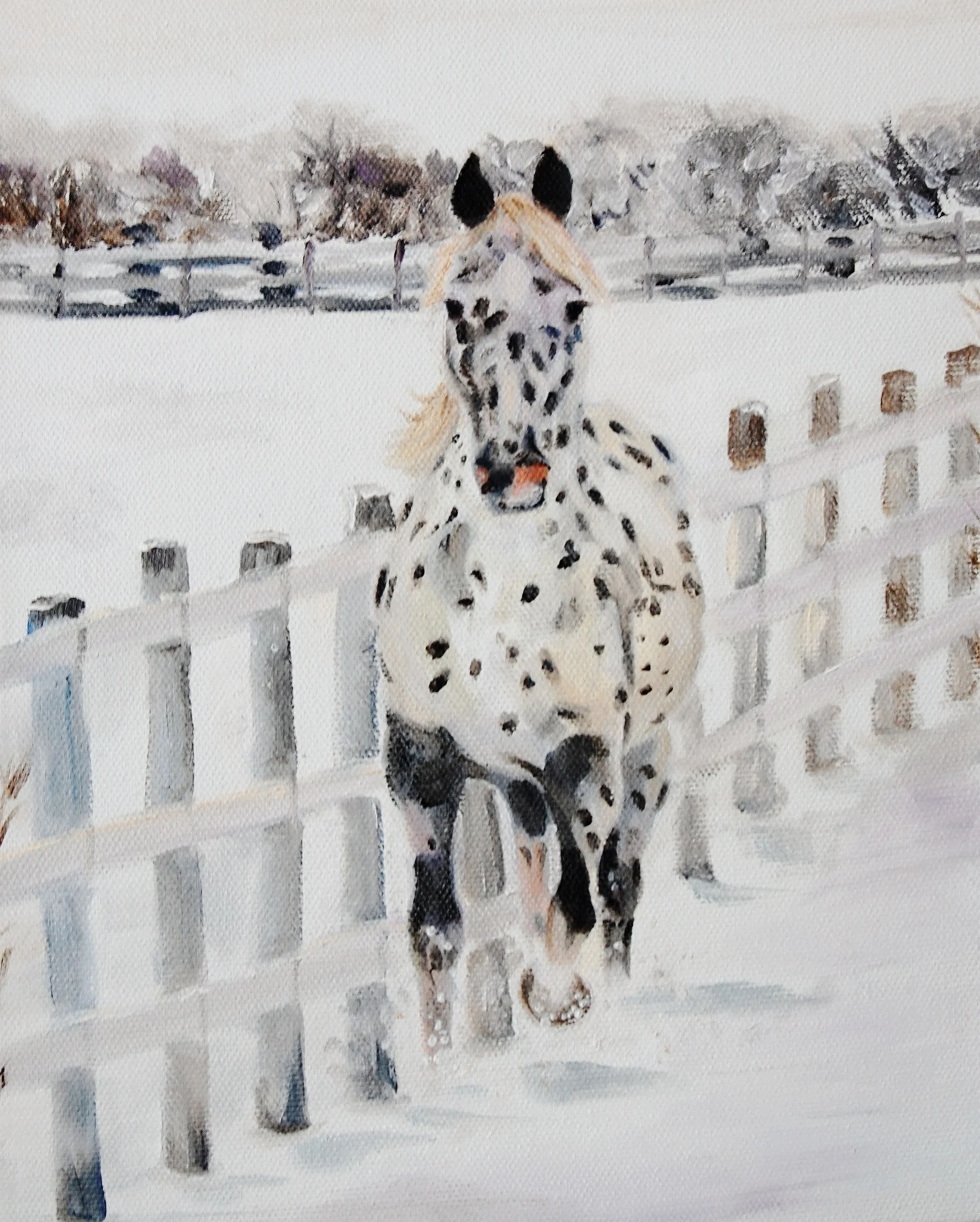 Kiowa in the Snow