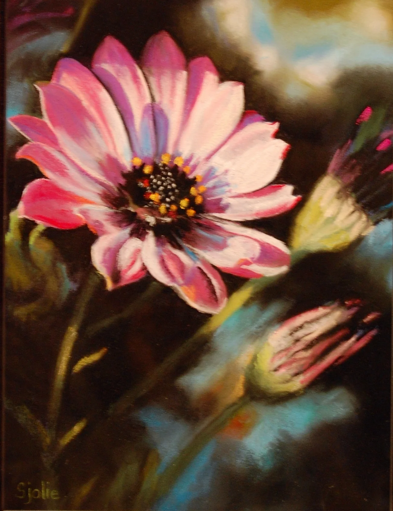 Chelsey's Purple Daisy.JPG