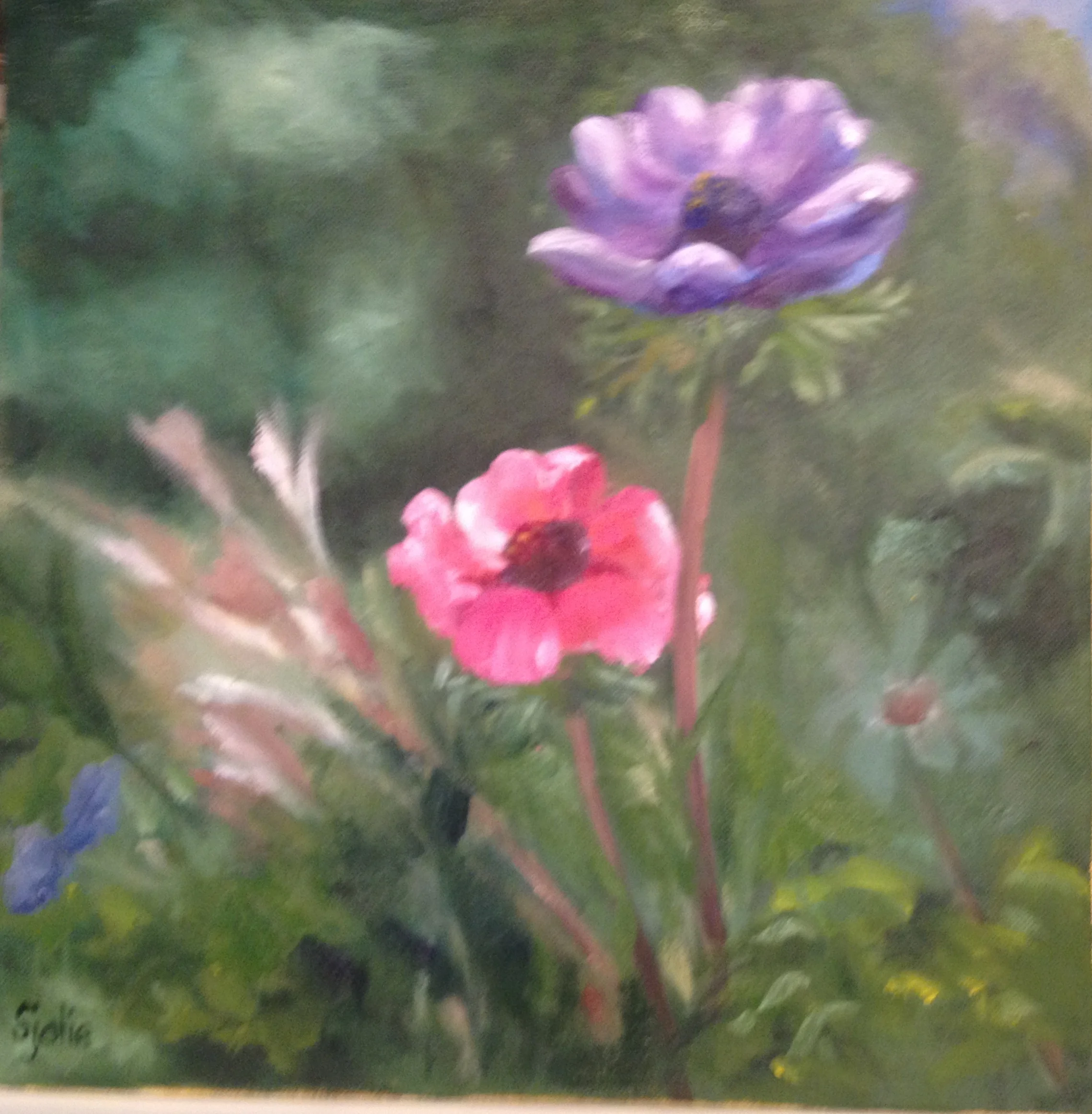 Chelseys Garden Photo.JPG