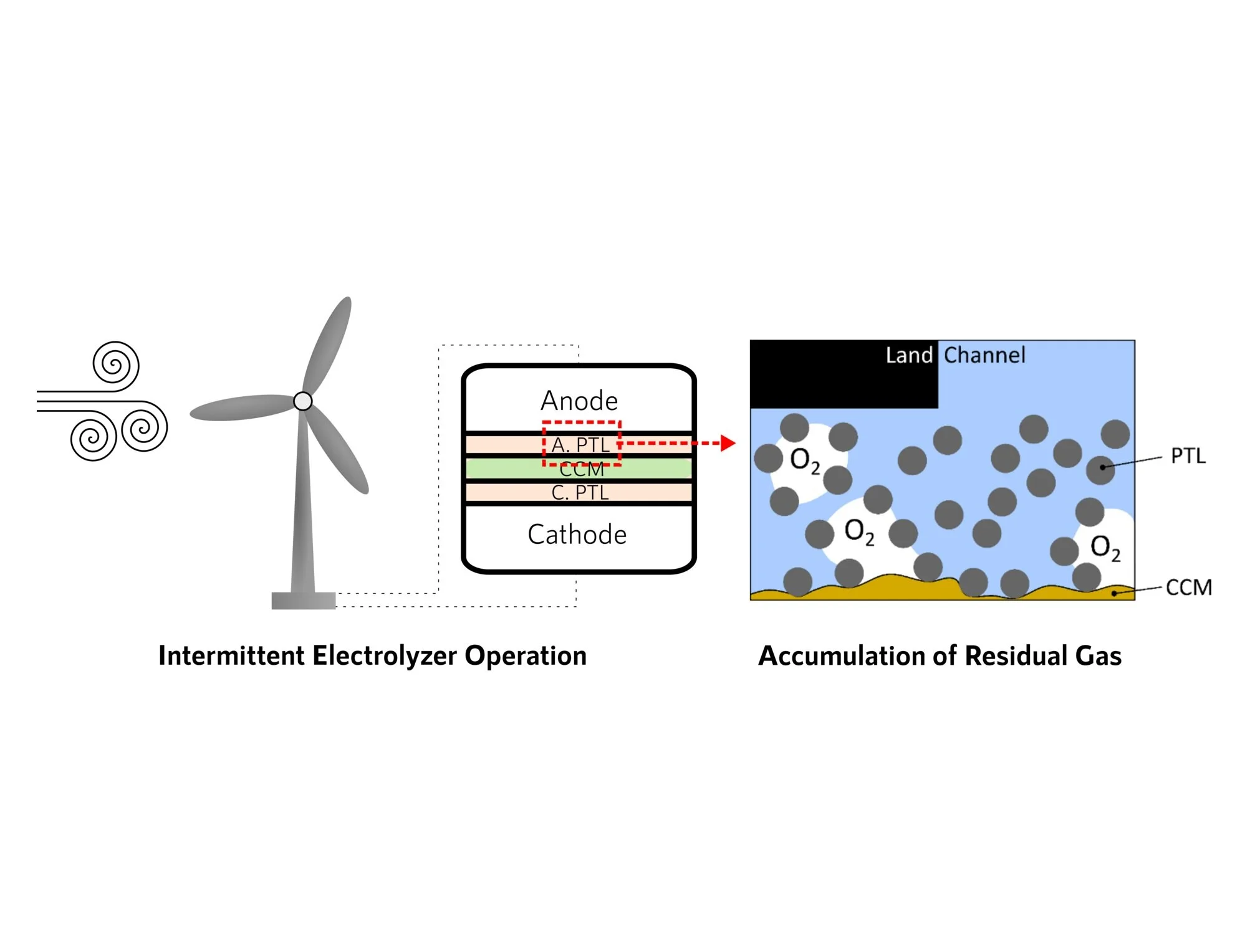 10. Transient Gas Distribution in Porous Transport Layers of Polymer Electrolyte Membrane Electrolyzers