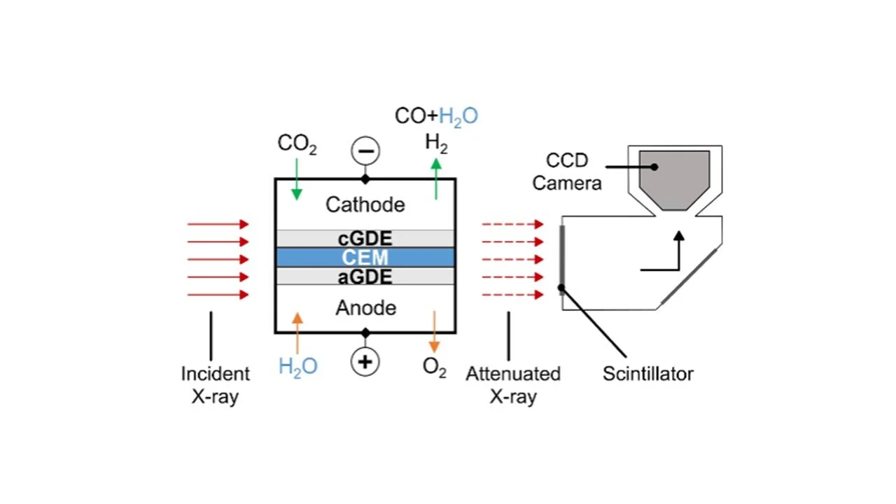 23. Temperature enhances the ohmic and mass transport behaviour in membrane electrode assembly carbon dioixide electrolyzers