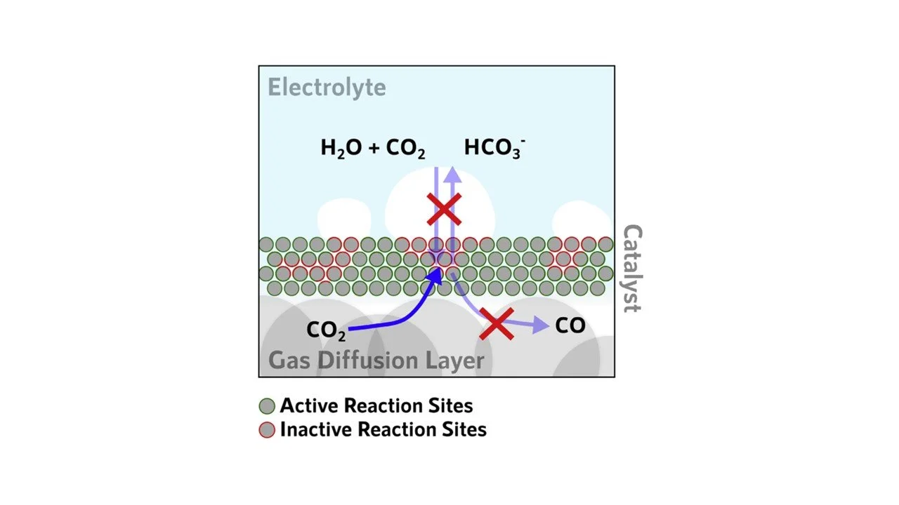 14. Bubble Formation in the Electrolyte Triggers Voltage Instability in CO2 Electrolyzers