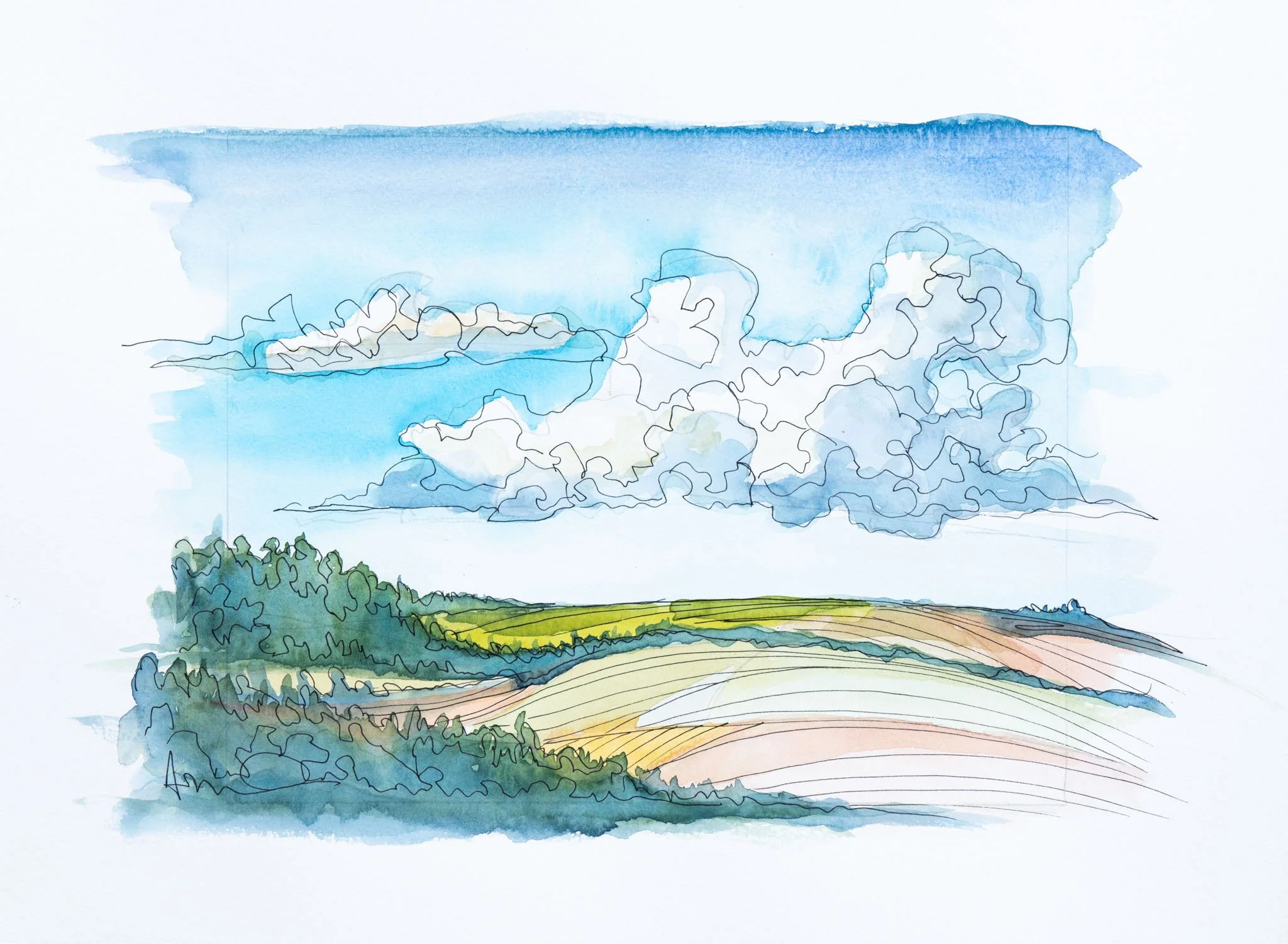 SKU 497-s_Andrew Milne_Oct 2024-063_Web Resolution.jpg