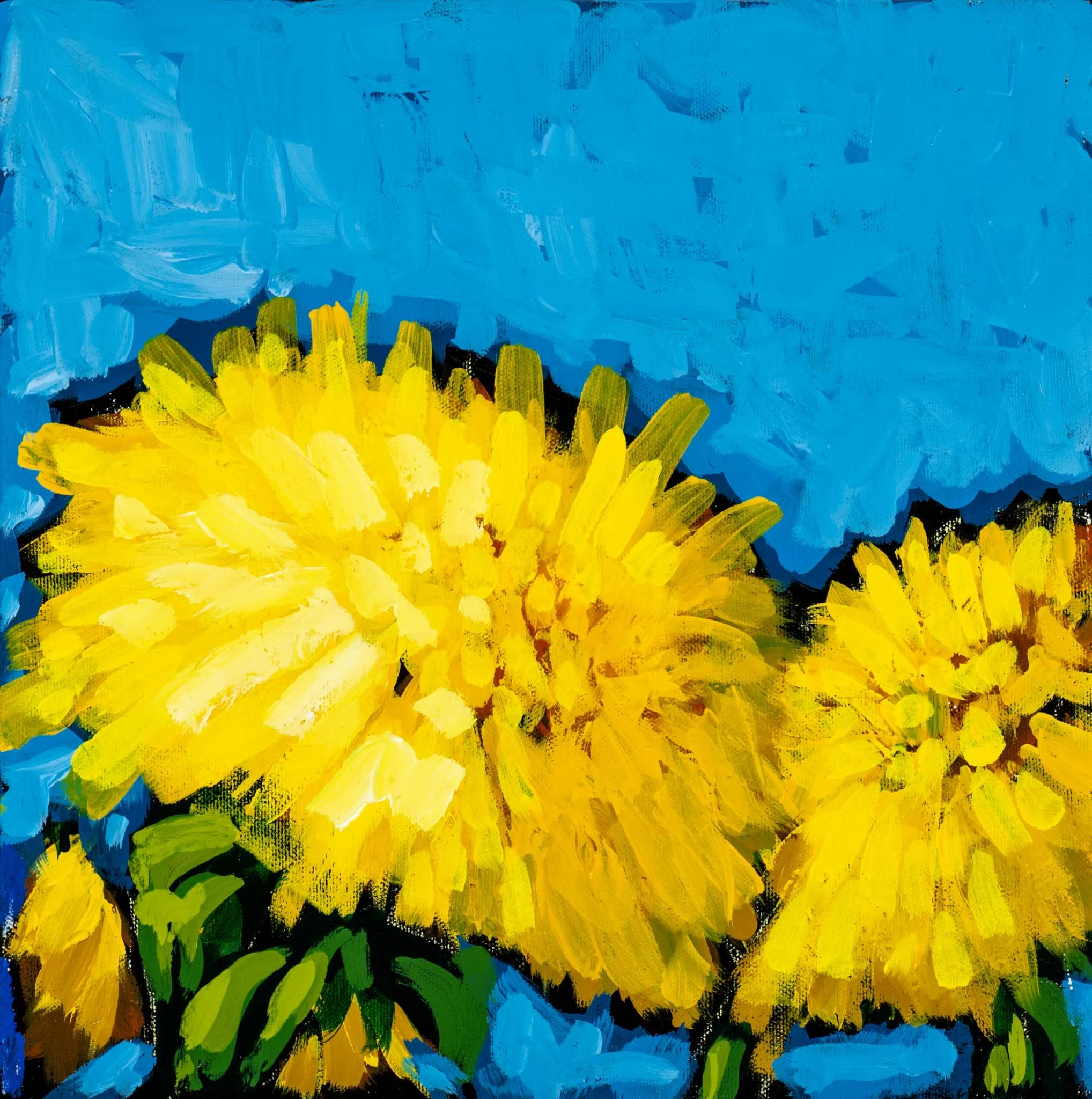 SKU 570 - Andrew Milne_Skateboards-017_Web Resolution.jpg