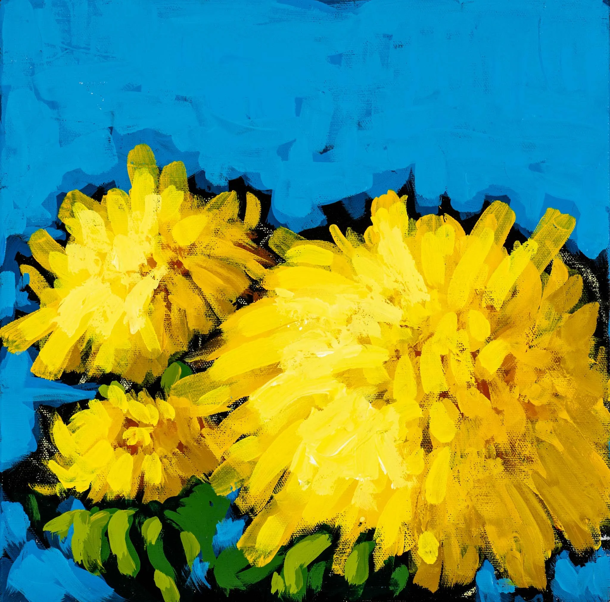 SKU 558 - Andrew Milne_Skateboards-016_Web Resolution.jpg