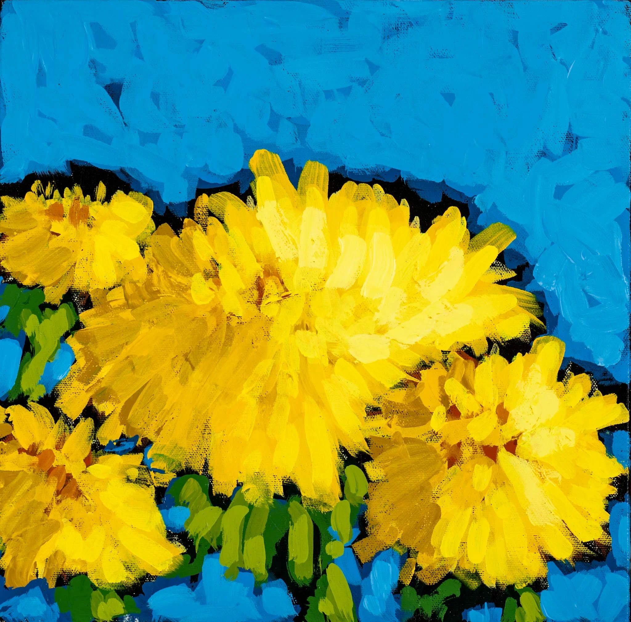 SKU 559 - Andrew Milne_Skateboards-015_Web Resolution.jpg