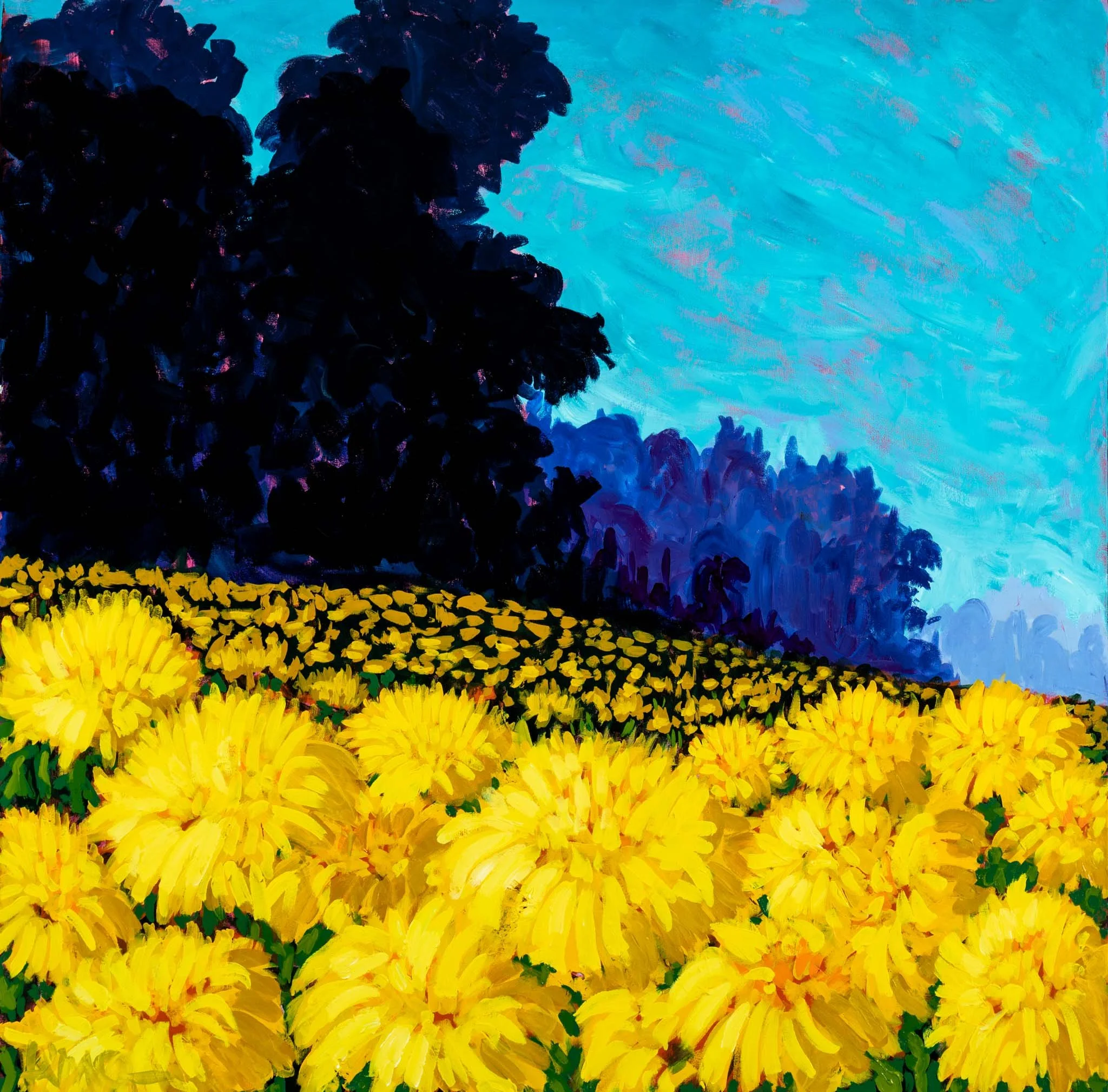 SKU 545 - Andrew Milne_Skateboards-013_Web Resolution.jpg