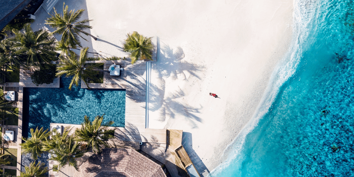 Image_Fatale_Agency_Plotagraph_Header (1200px, 25fps).gif