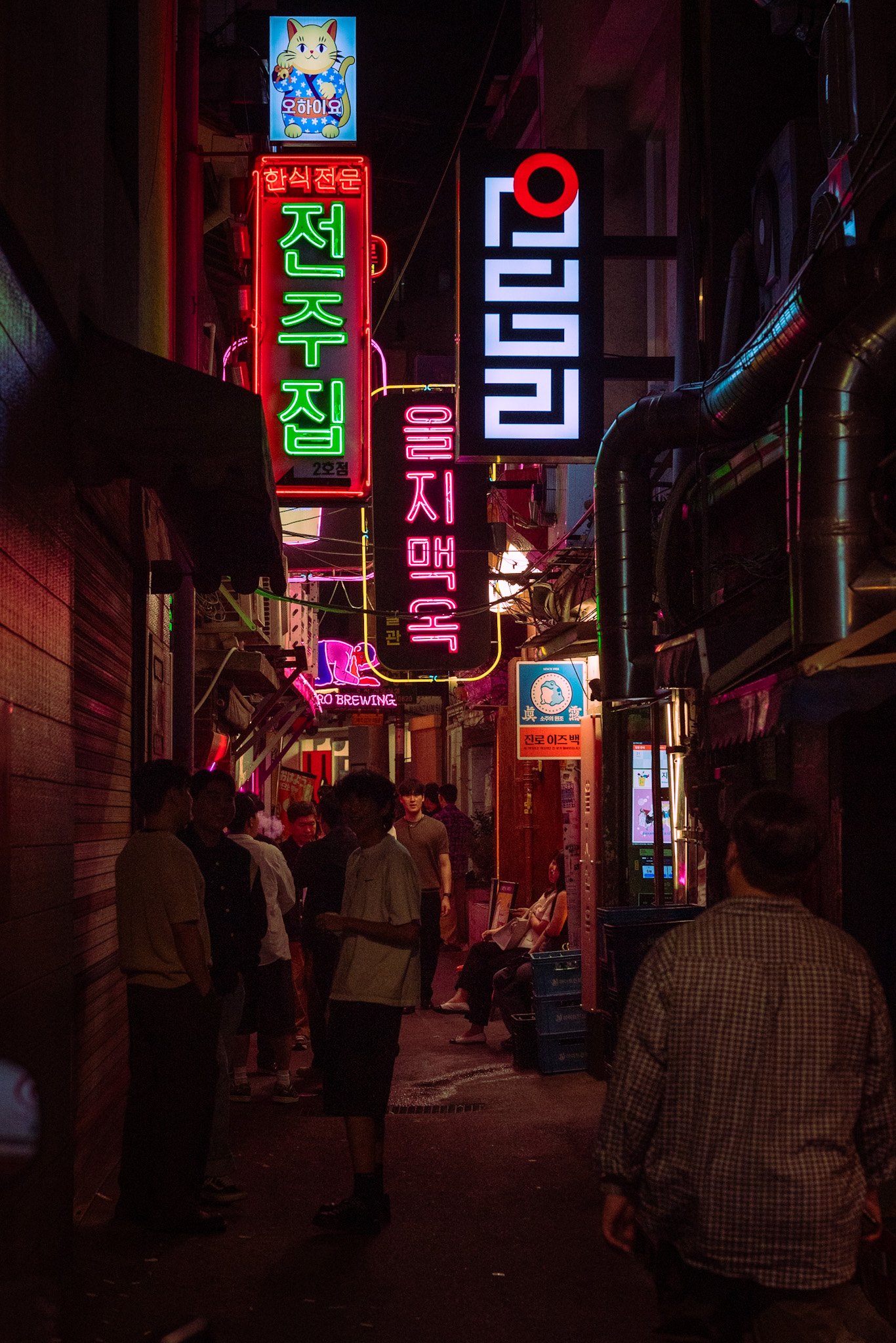 DSC08615.jpeg