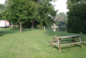 7607432.jpg