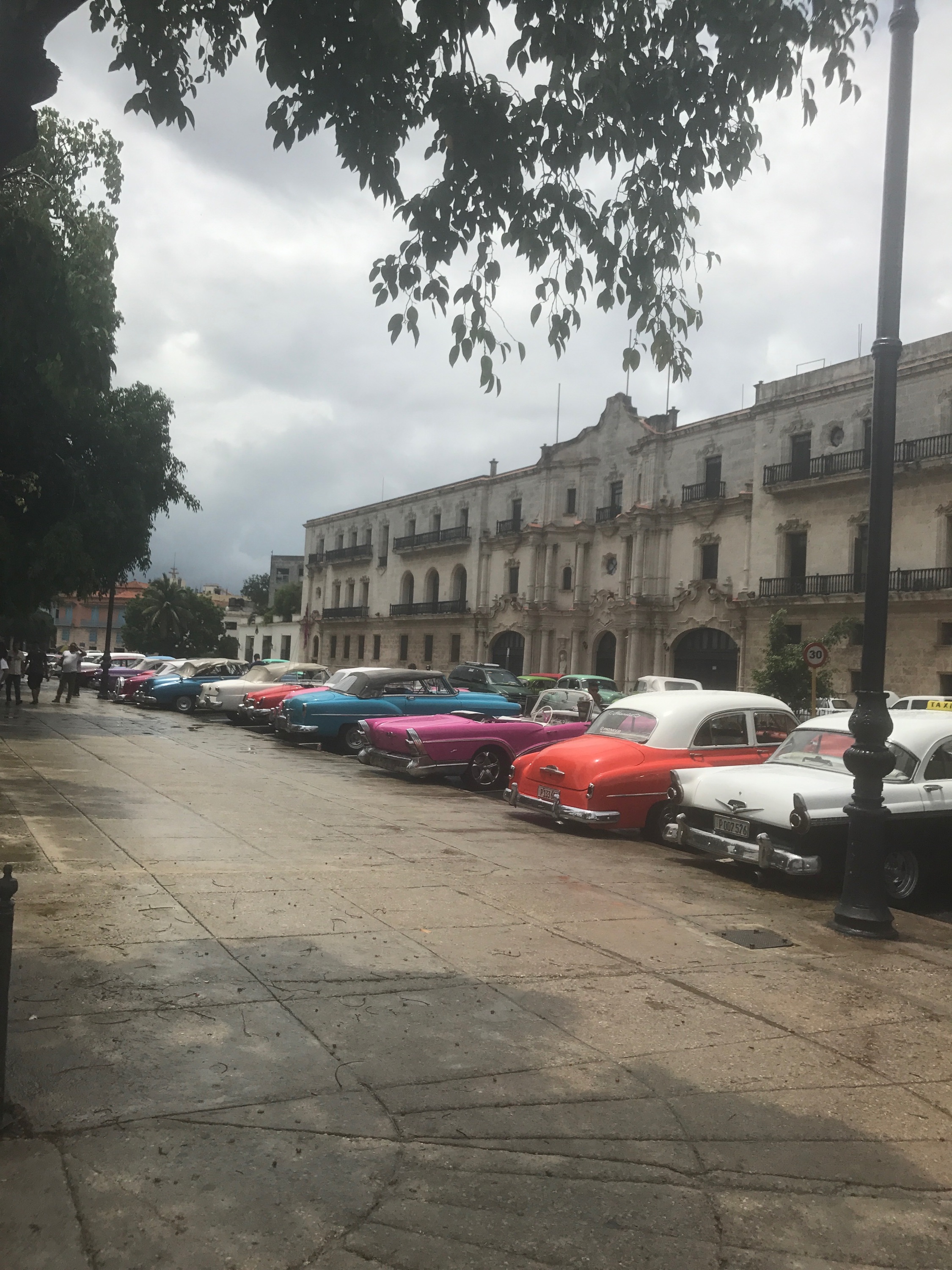 IMG_1533.jpeg