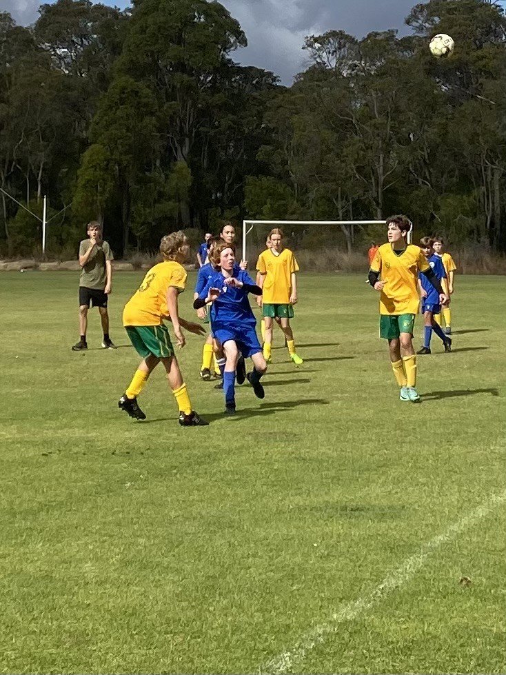 U14 Sharks 1.jpg